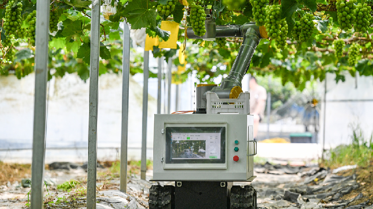 Advancements in Technology Enhance New High-Quality Productive Forces in Agriculture