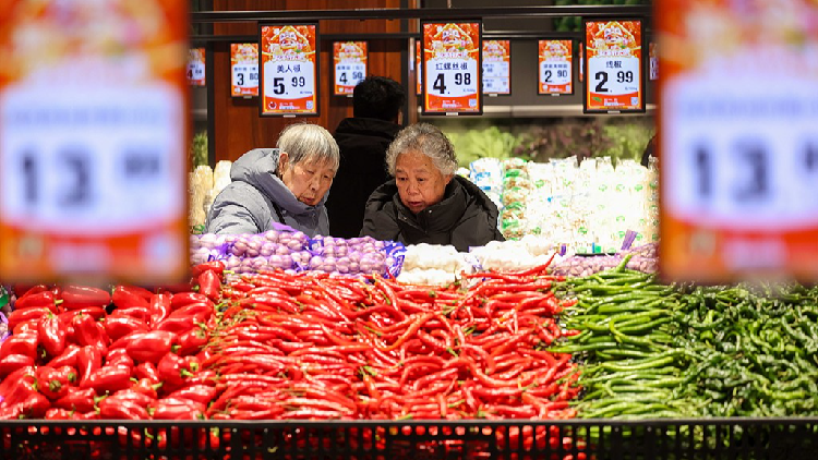 China's Consumer and Producer Prices Fall Due to High Base Effect in February