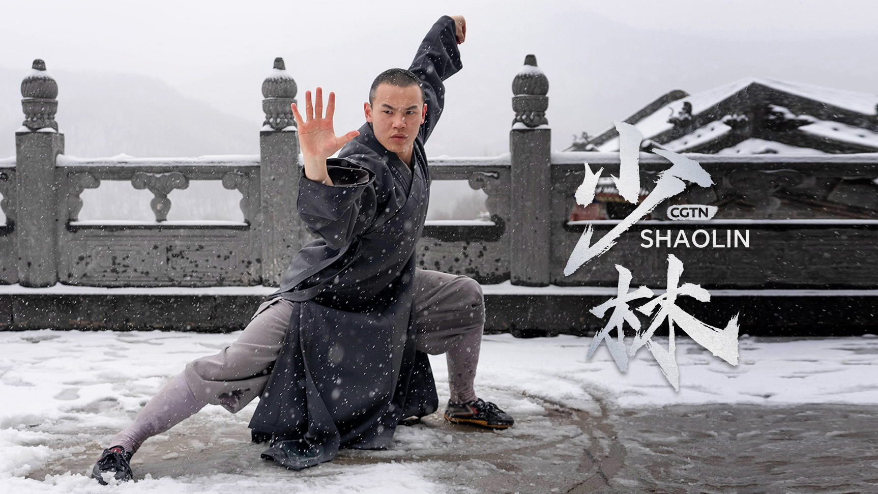 The Art Of Shaolin In Pics: Poise, Power And Precision - Cgtn