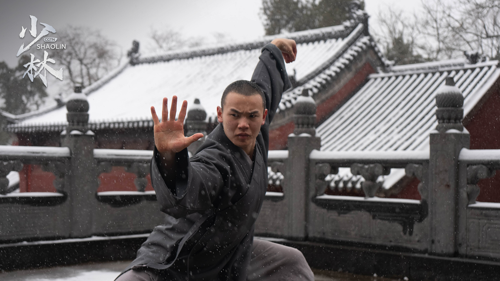 The Art Of Shaolin In Pics: Poise, Power And Precision - Cgtn