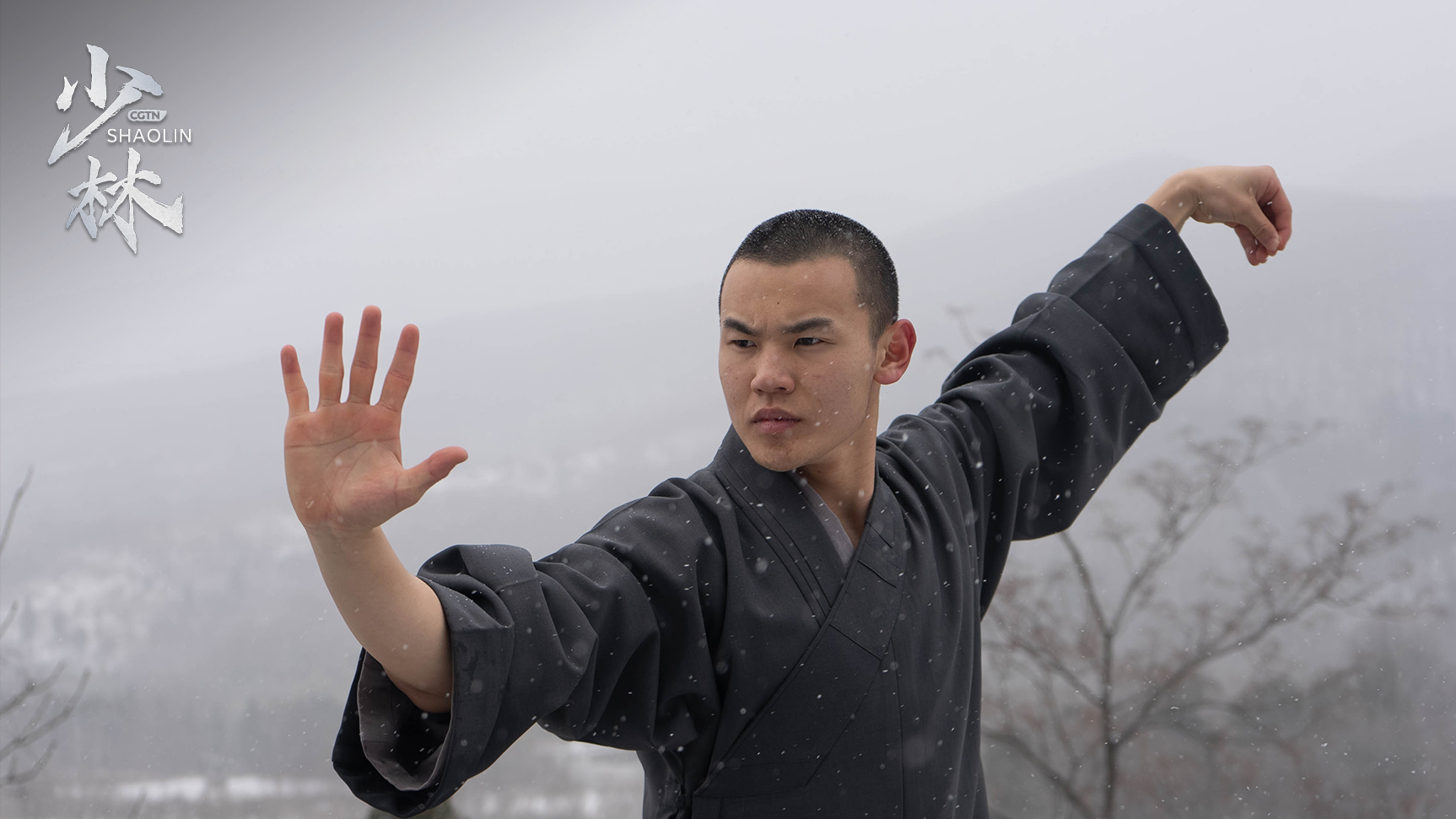 The Art Of Shaolin In Pics: Poise, Power And Precision - Cgtn