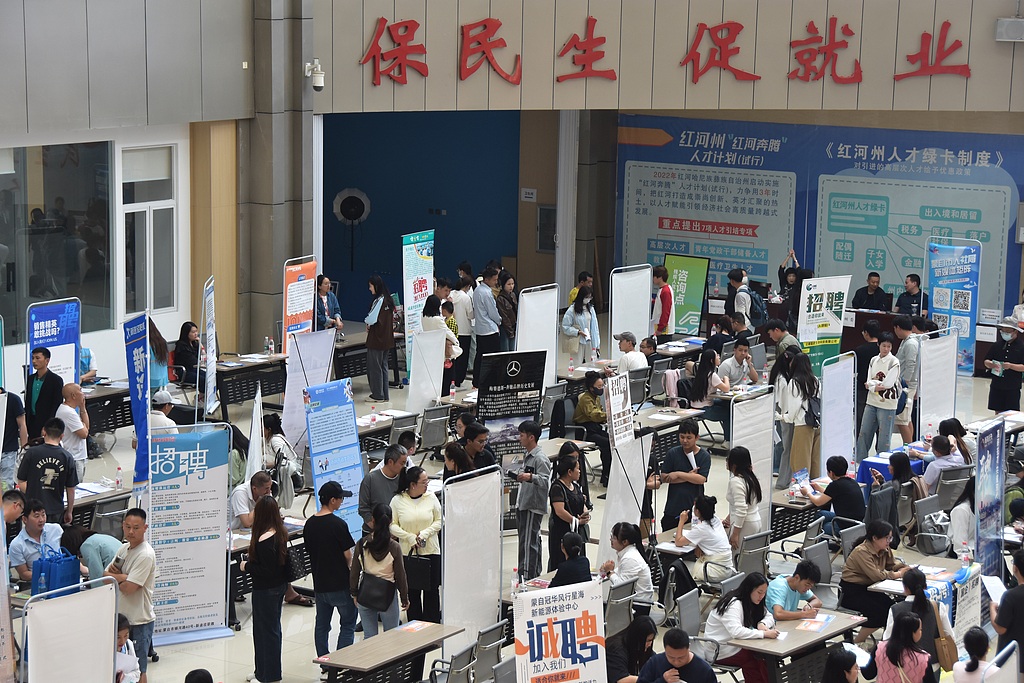 A job fair for college graduates is held in Honghe Hani and Yi Autonomous Prefecture, southwest China's Yunnan Province, China, March 29, 2025. /VCG