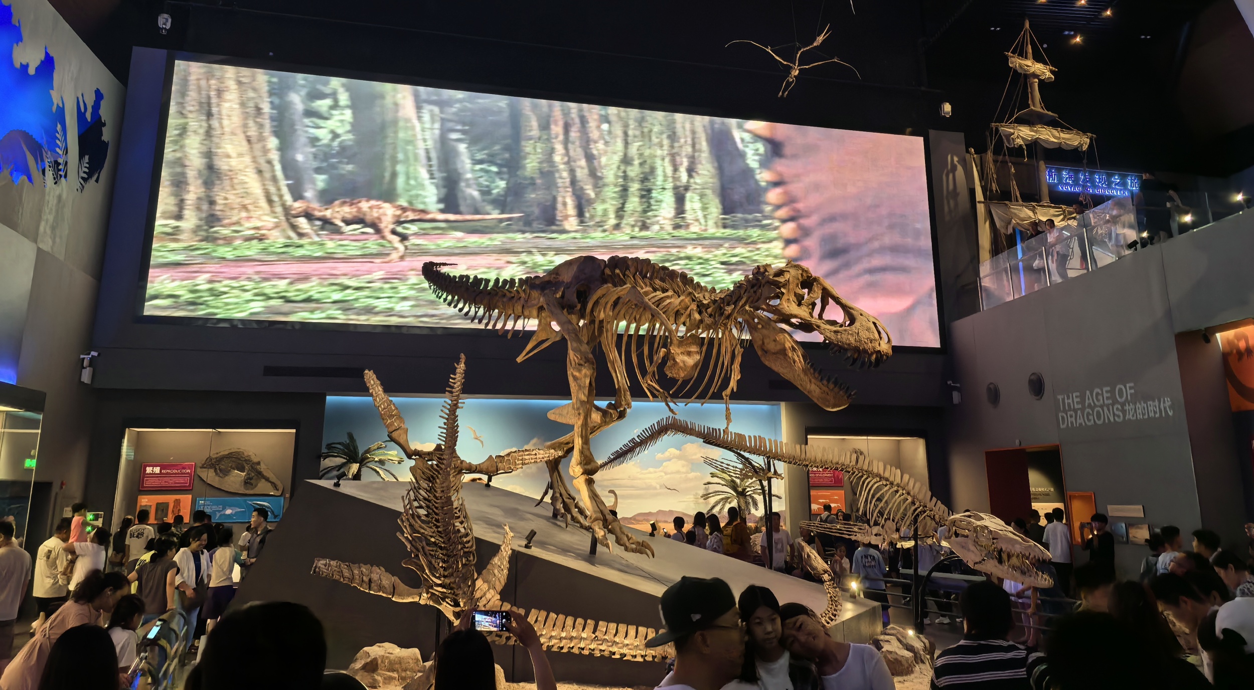 A view of the Exhibition Hall of the Age of Dinosaurs at the National Maritime Museum in north China's Tianjin. /CGTN