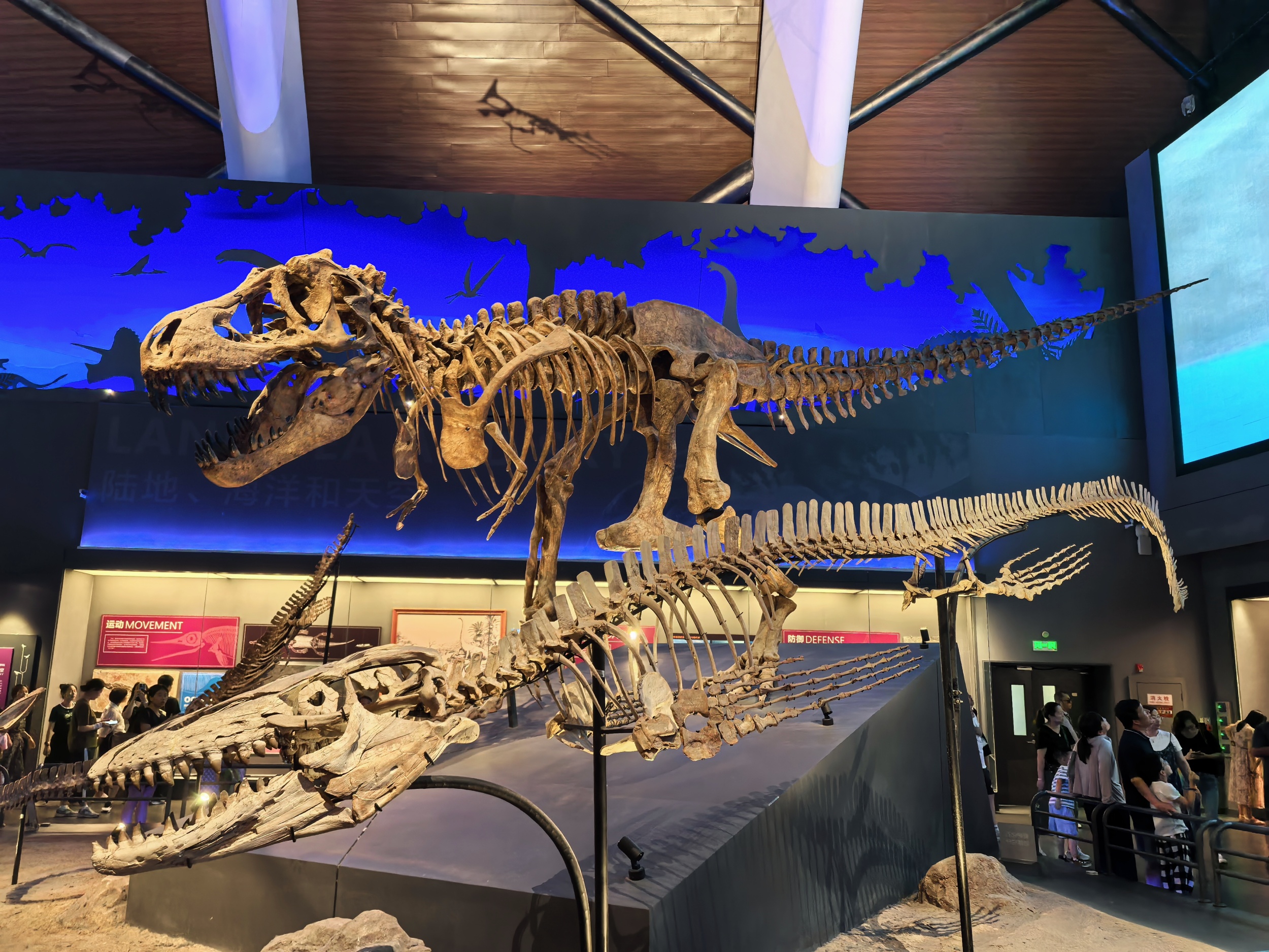 A view of the Exhibition Hall of the Age of Dinosaurs at the National Maritime Museum in north China's Tianjin. /CGTN