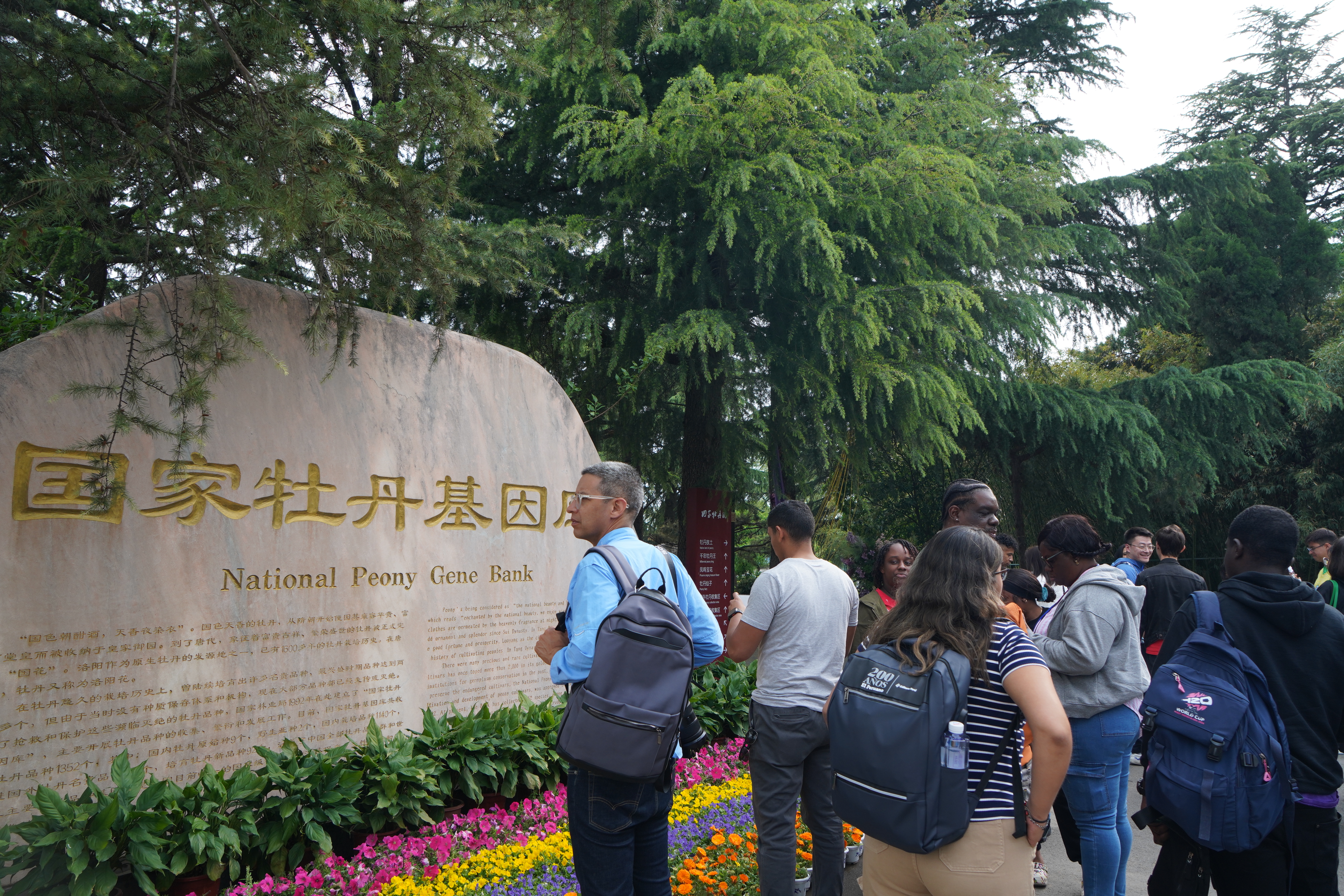 A delegation of 27 journalists from Latin America and the Caribbean visits the Luoyang National Peony Garden in central China's Henan Province on April 21, 2025. /CGTN