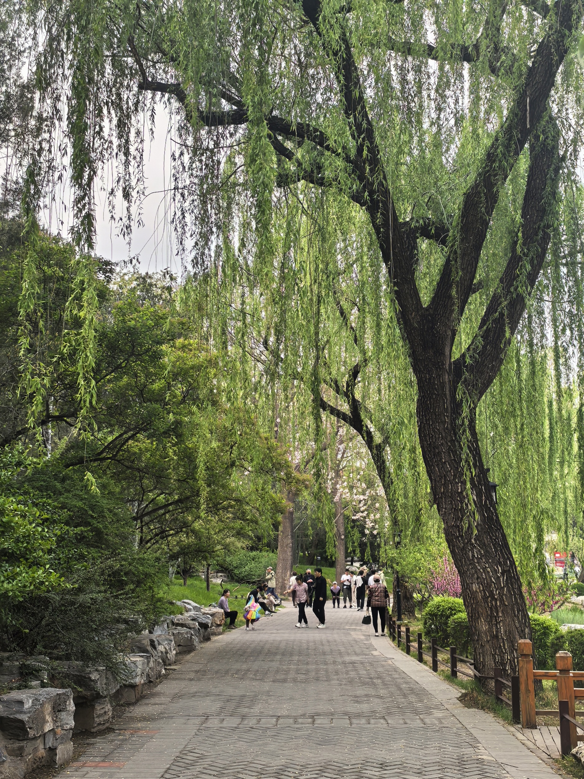 People take a walk in Taoranting Park in Beijing on April 20, 2025. /CGTN