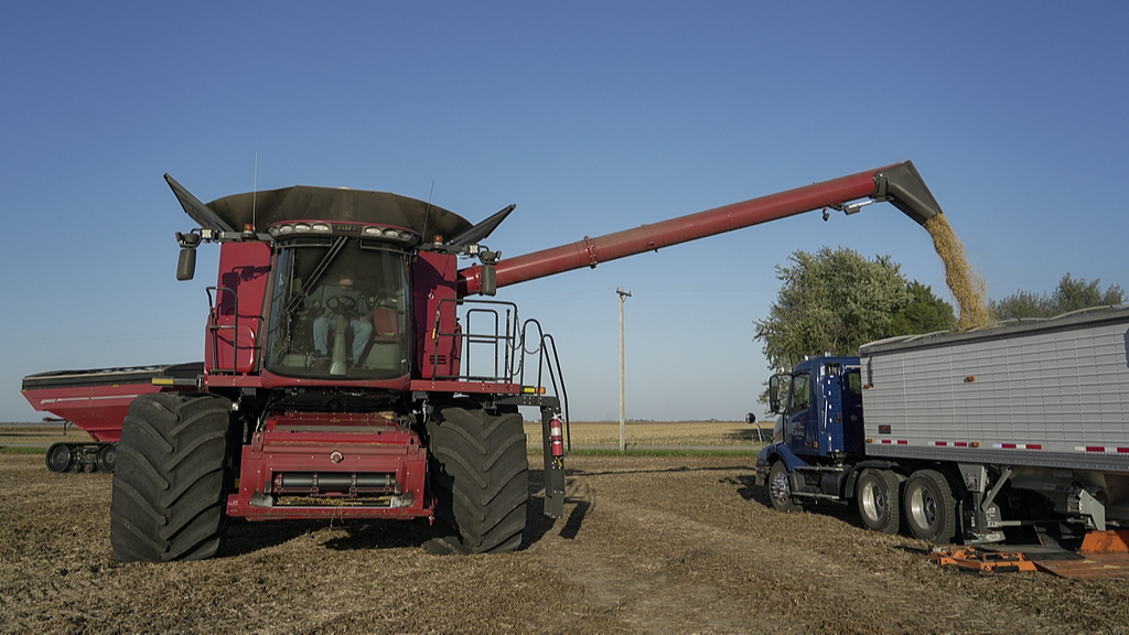 A combine unloads soybeans into a trailer during harvest on a farm near Allerton, Illinois, U.S., October 10, 2023. /VCG
