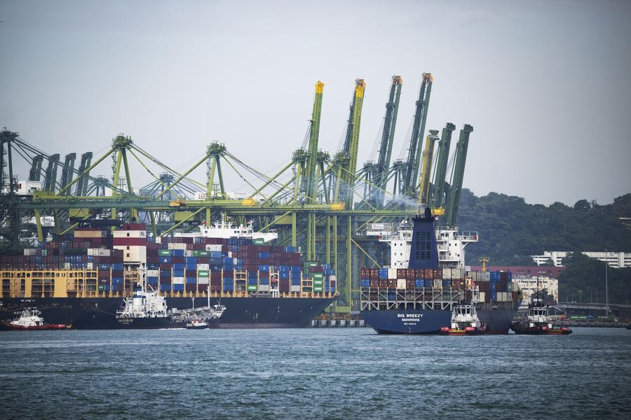 Container ships berth at Singapore's Pasir Panjang container terminal, January 31, 2024. /Xinhua