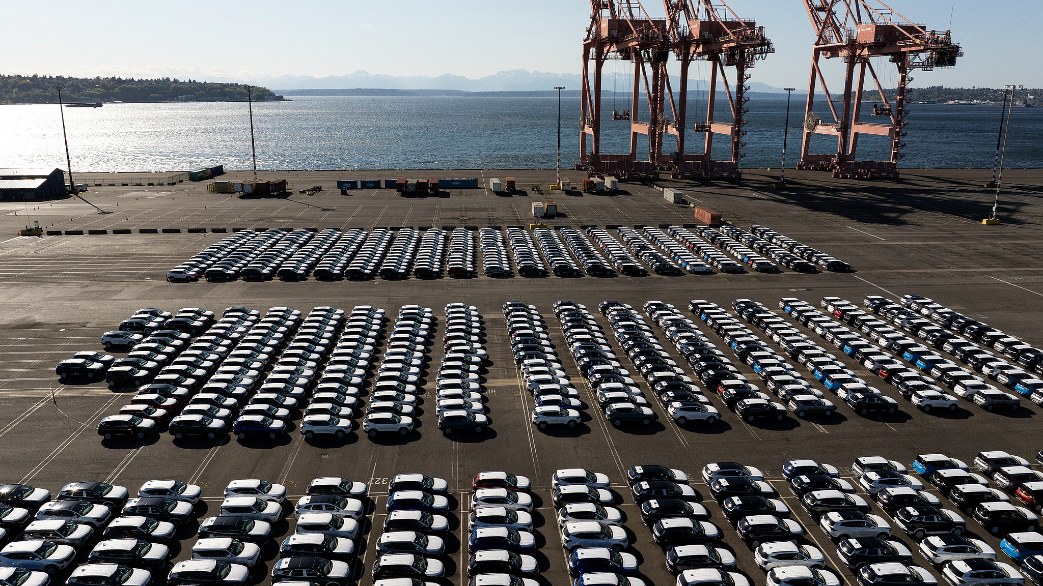 New Kia vehicles at the Port of Seattle in Seattle, Washington, U.S., April 16, 2025. /VCG