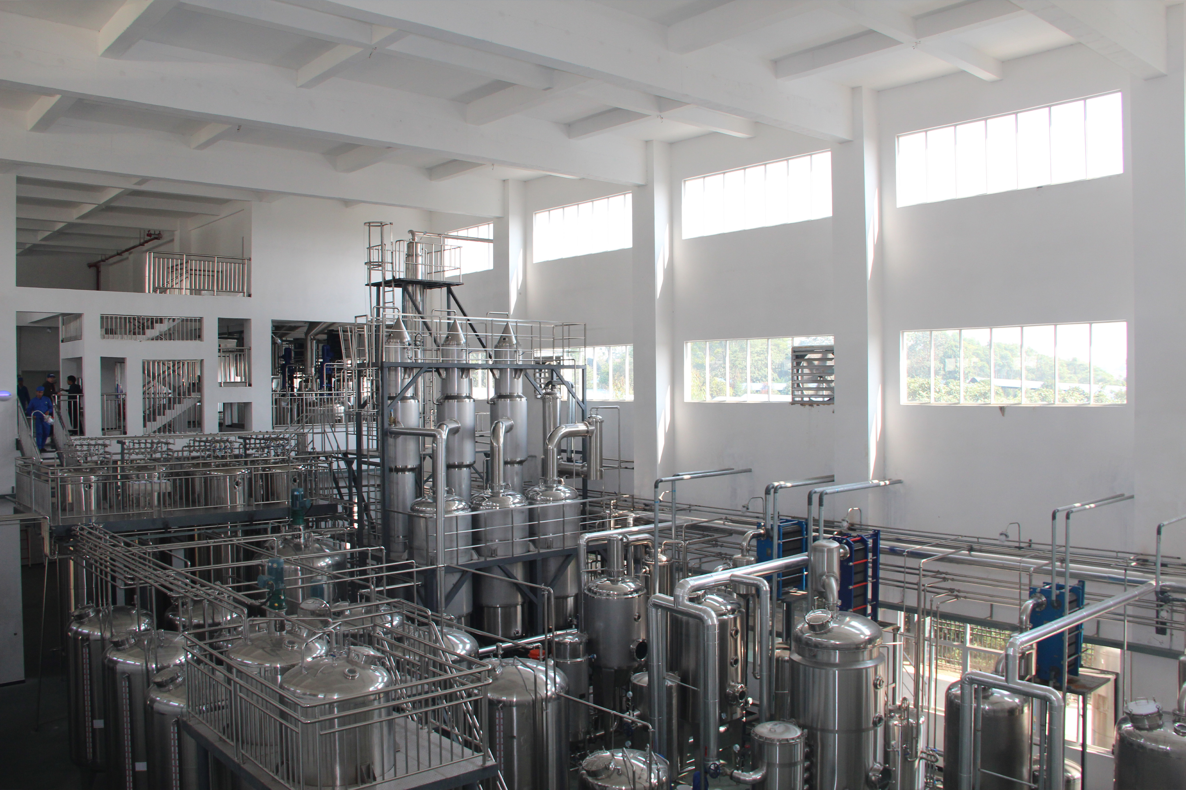 A monk fruit processing line at Guilin GFS Monk Fruit Corporation in Yanshan District, Guilin City, south China's Guangxi Zhuang Autonomous Region. /GFS