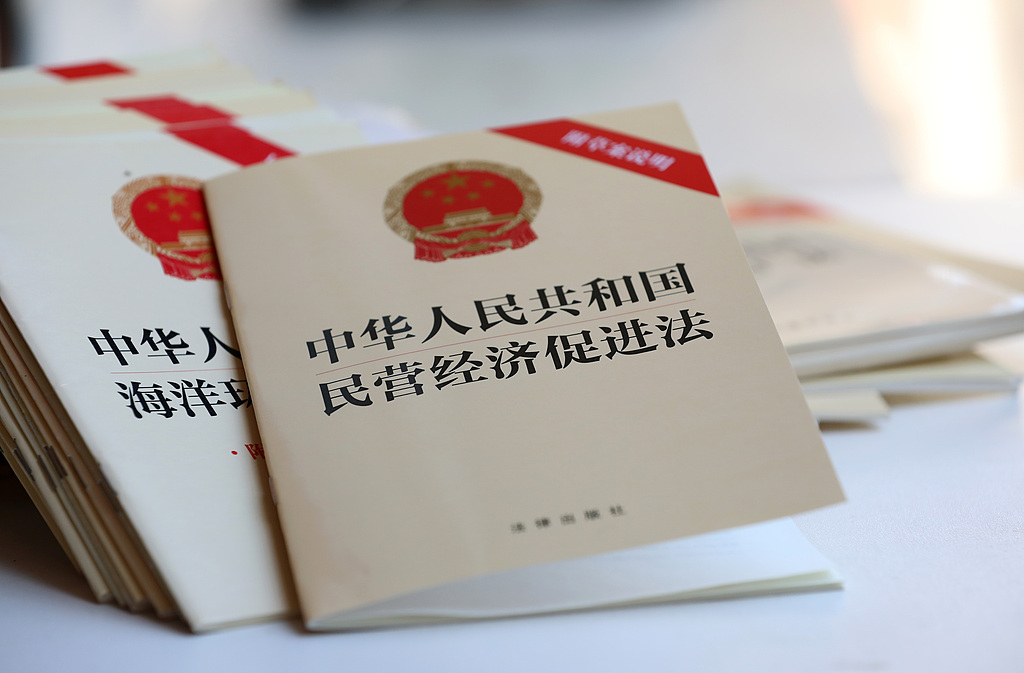 The Private Economy Promotion Law of China. /VCG