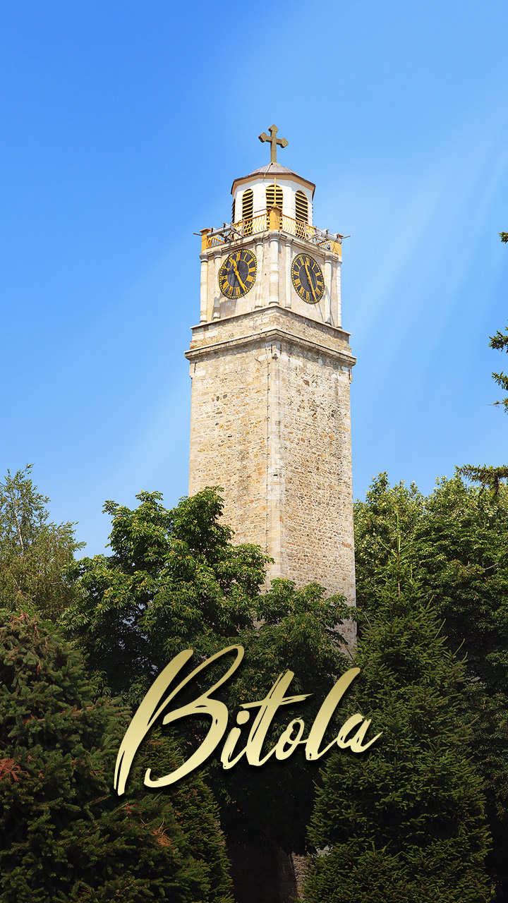 In Pictures: Ningbo and Bitola – Growing together through trade