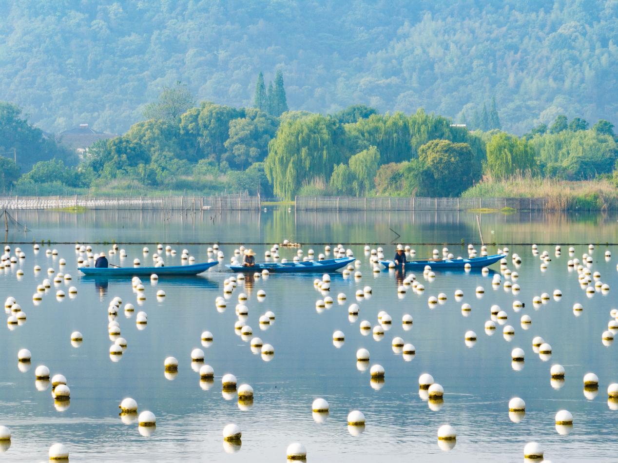 The Xiaoshanyang Freshwater Pearl Ecological Farming Base in Deqing County, Zhejiang Province, China. /CGTN