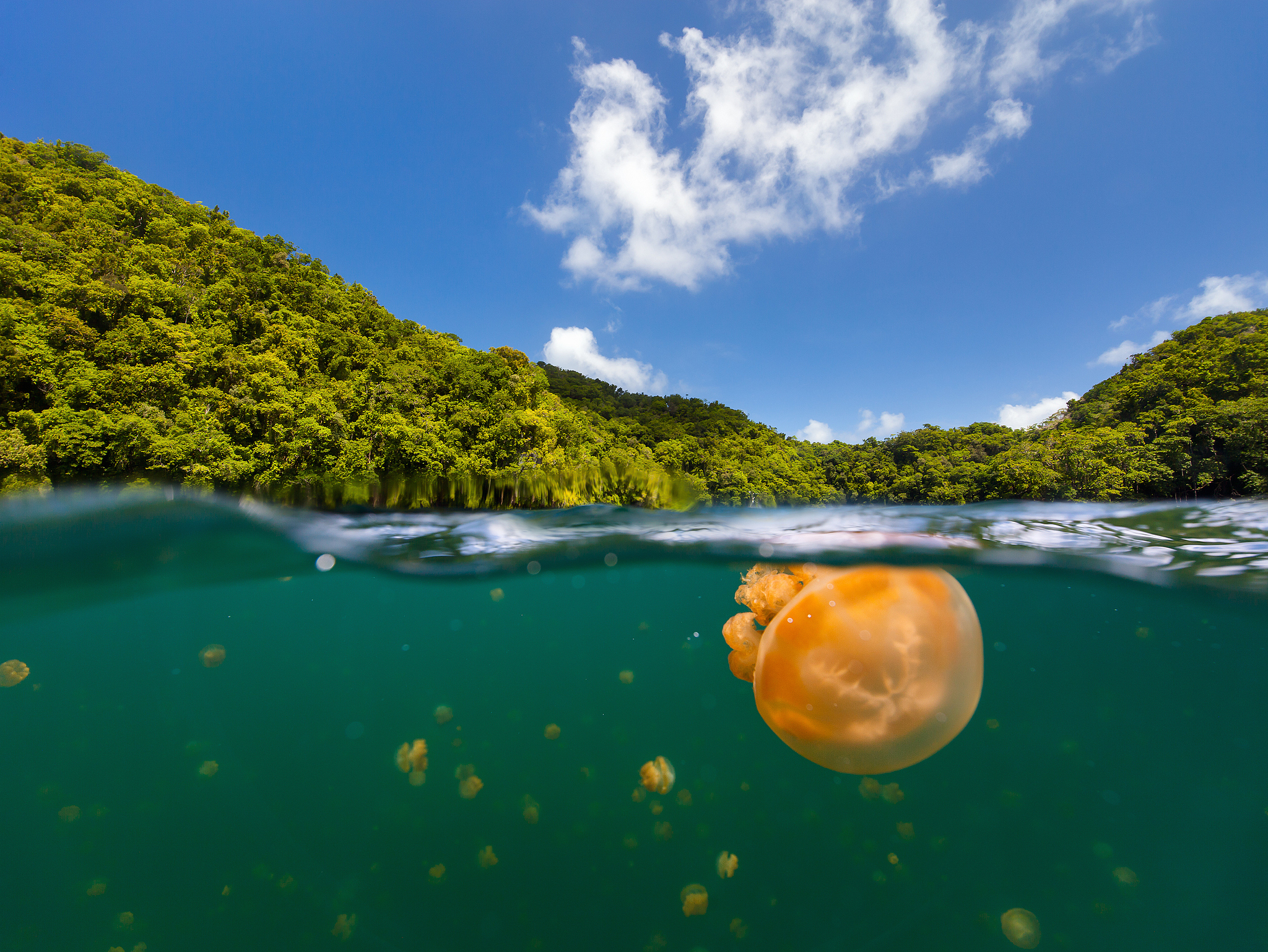 Palau – an underwater wonder of the world