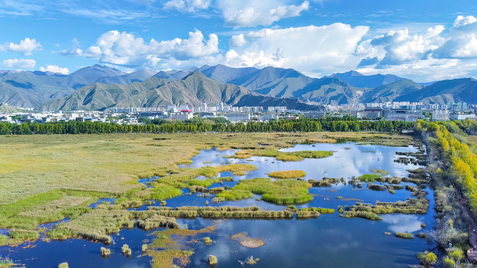 China's Xizang maintains stable ecological environment in 2024
