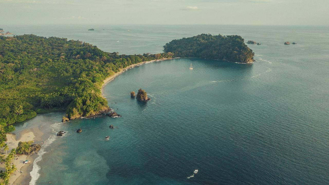 Costa Rica and the ocean: A sanctuary for ocean wildlife - CGTN