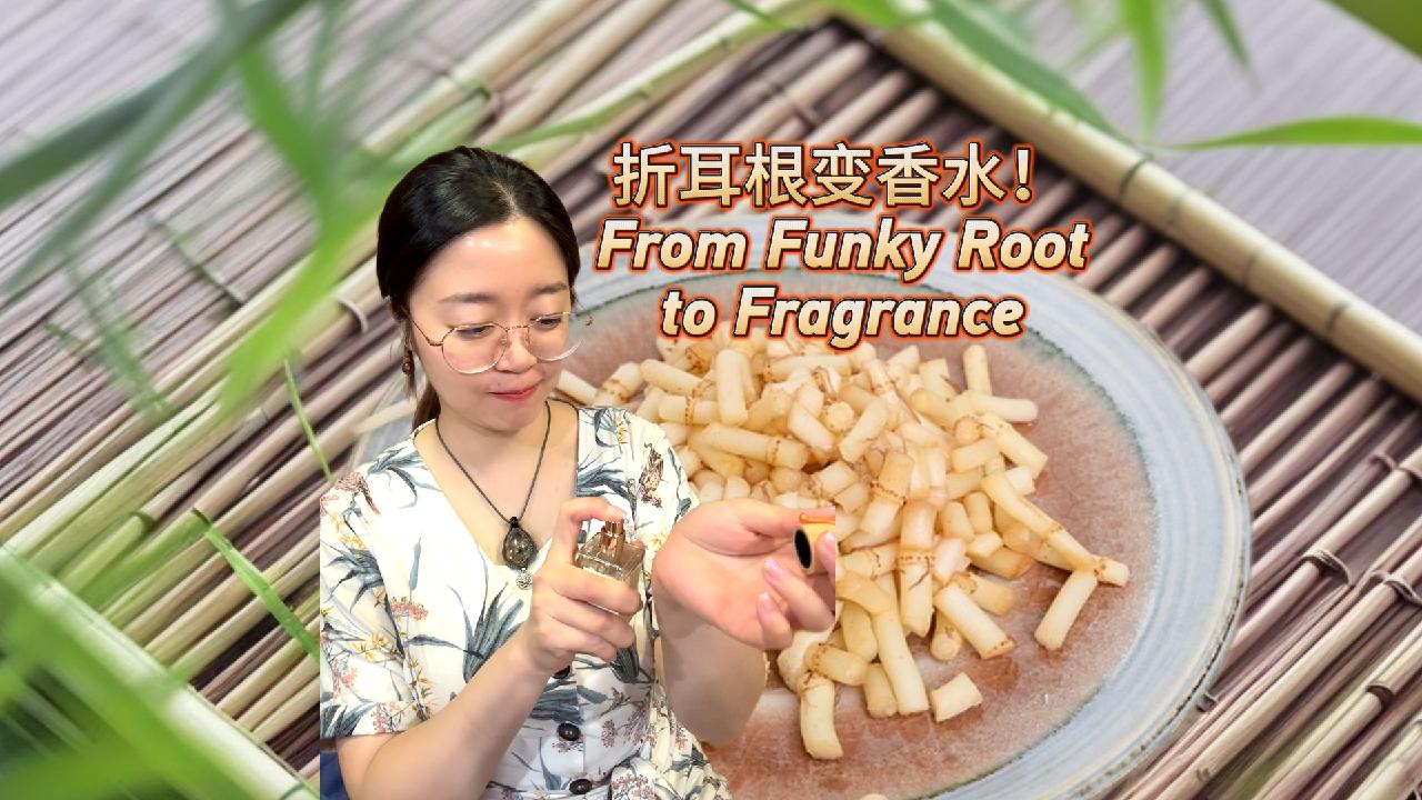 From funky root to fragrance - CGTN