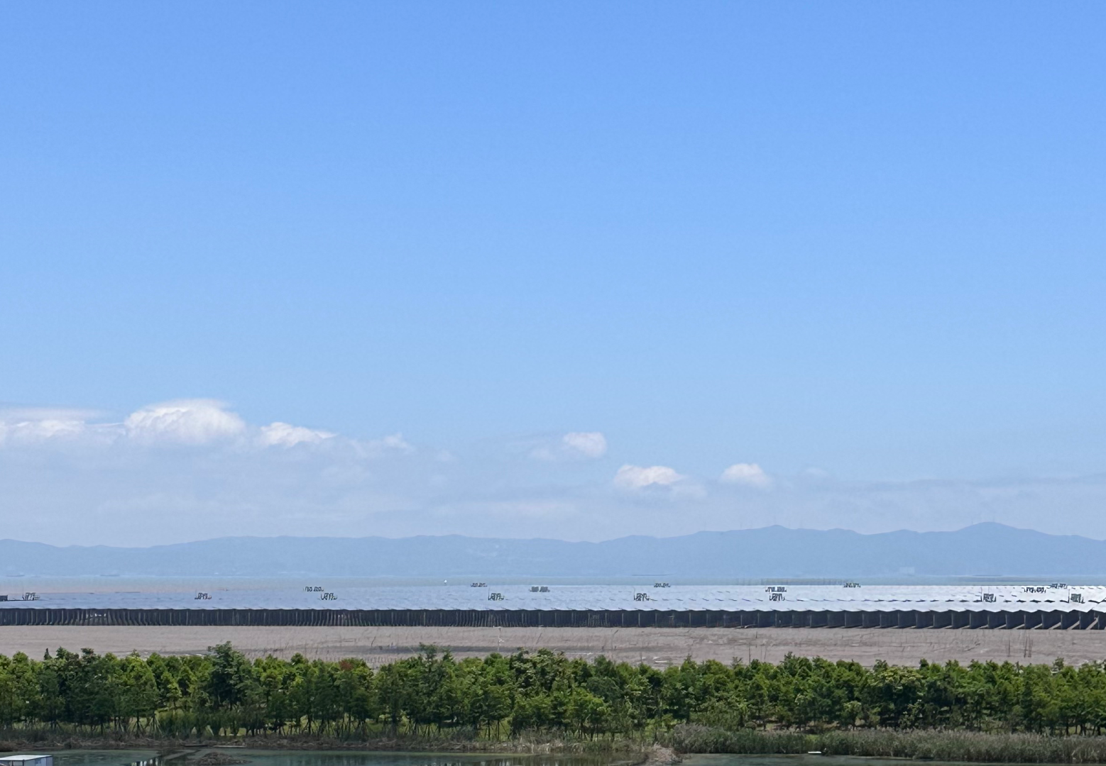 A vast coastal solar array visible from the headquarters of Zhejiang Bridgold Copper Tech Co. Ltd., in Wenzhou, China, June 7, 2025. /CGTN 