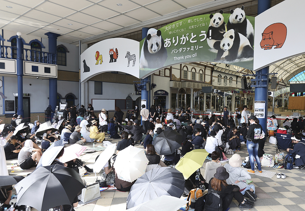 Visitors line up outside Adventure World in Shirahama, Wakayama Prefecture on June 27, hoping to catch a final glimpse of the pandas set to depart for China on June 28, 2025. /Yomiuri Shimbun via CFP