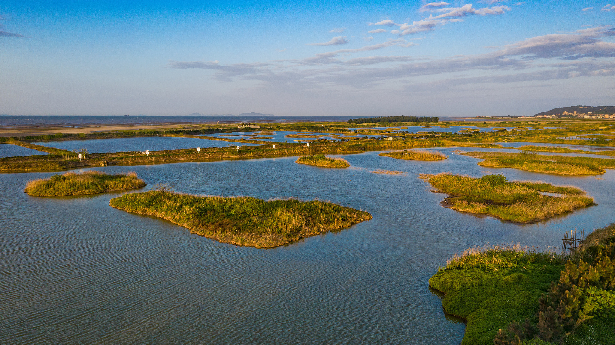 Wetland monitoring helps transform a migratory stopover