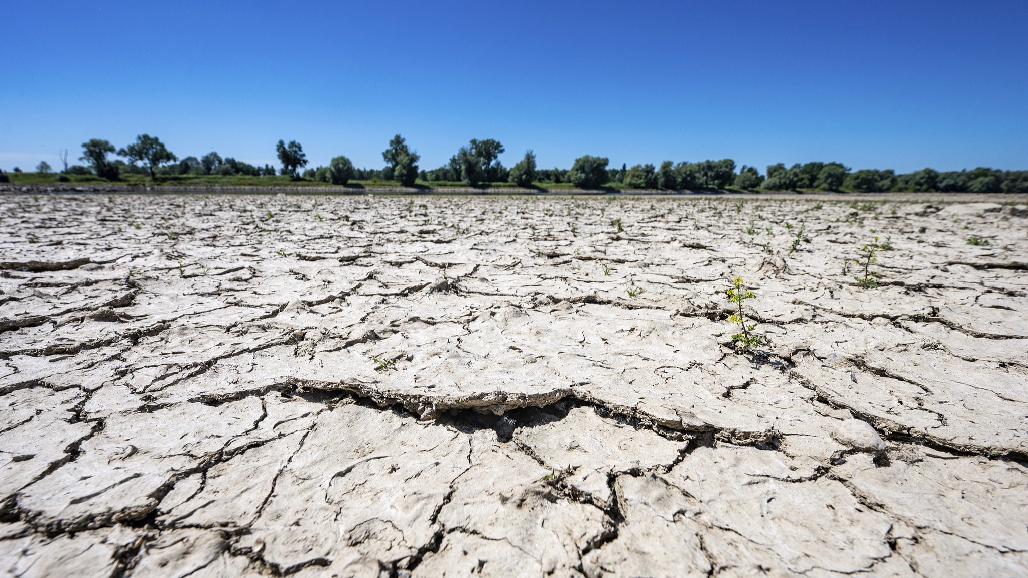 Expert: New drought era signals global systemic risk