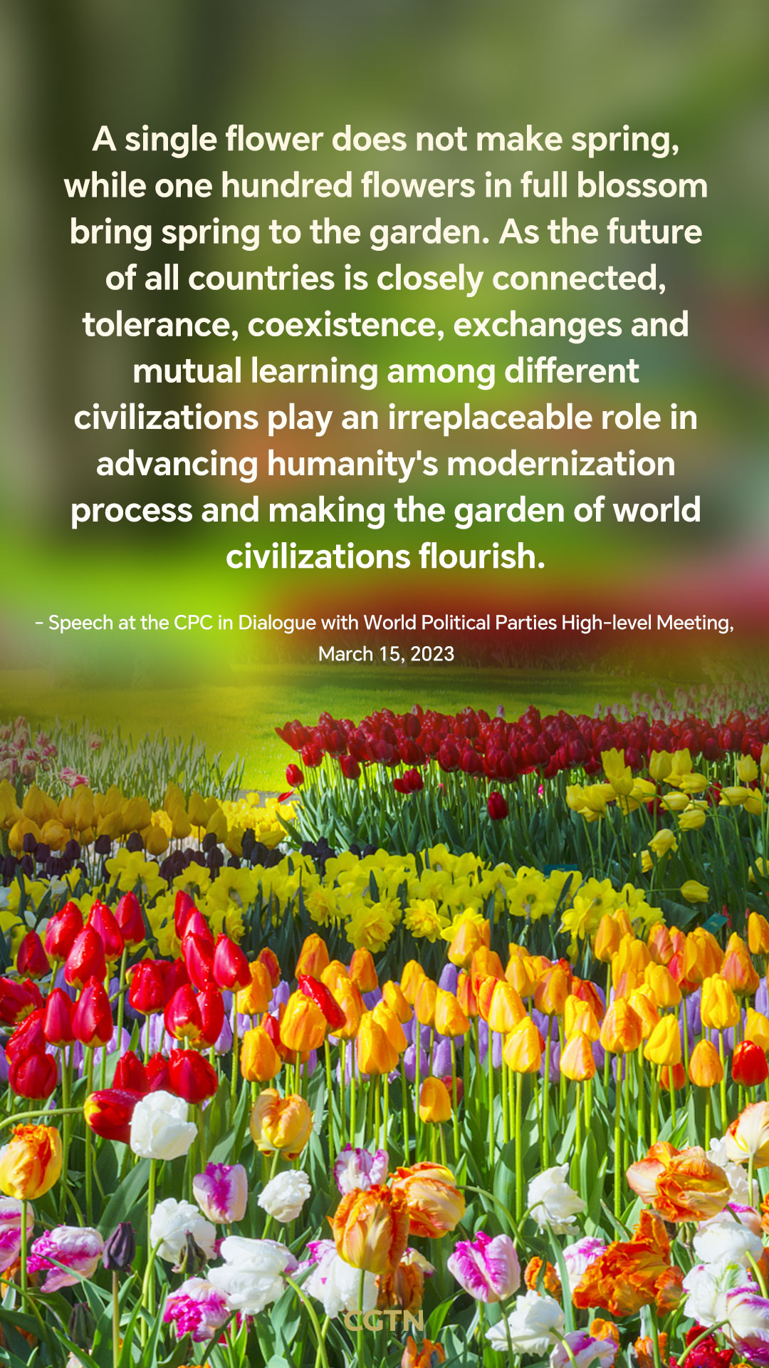 President Xi Jinping's key quotes on cultural diversity and mutual learning among civilizations