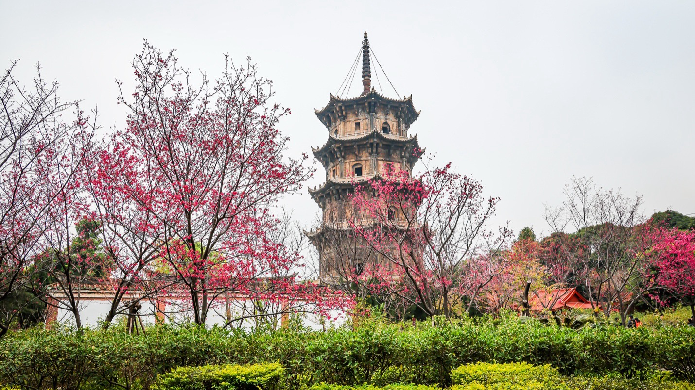 A photo of the Kaiyuan Temple in Quanzhou, Fujian Province, China, February 17, 2025. /CFP