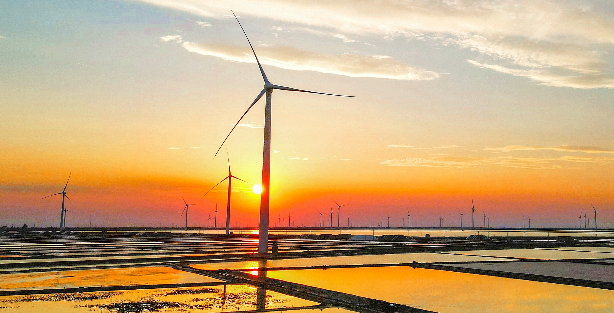 Wind turbine generators on the shallow tidal flats in Dongying, Shandong Province, July 15, 2025. / CFP