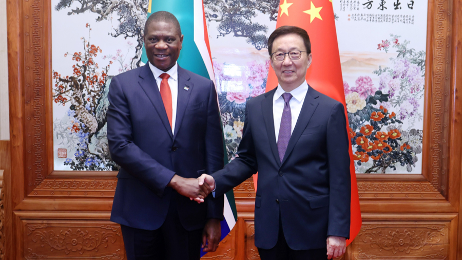 Chinese vice president meets South Africa's deputy president