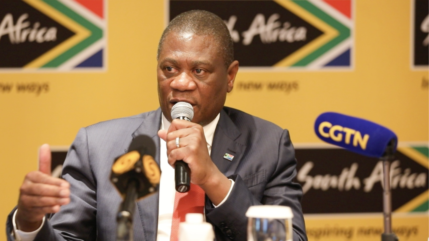 South African deputy president: SA-China culture exchange underway