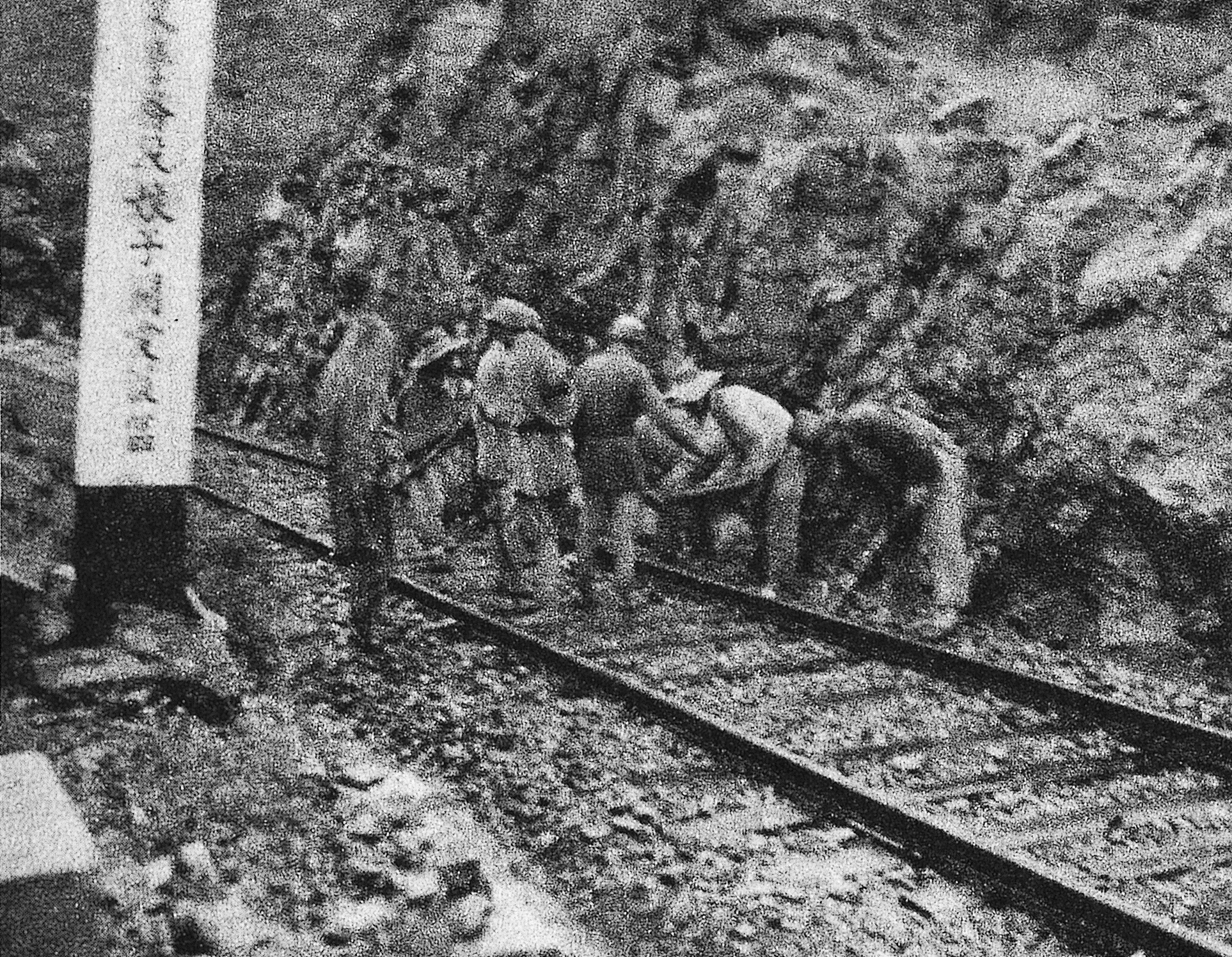 From battlefields to a land of high-speed revival