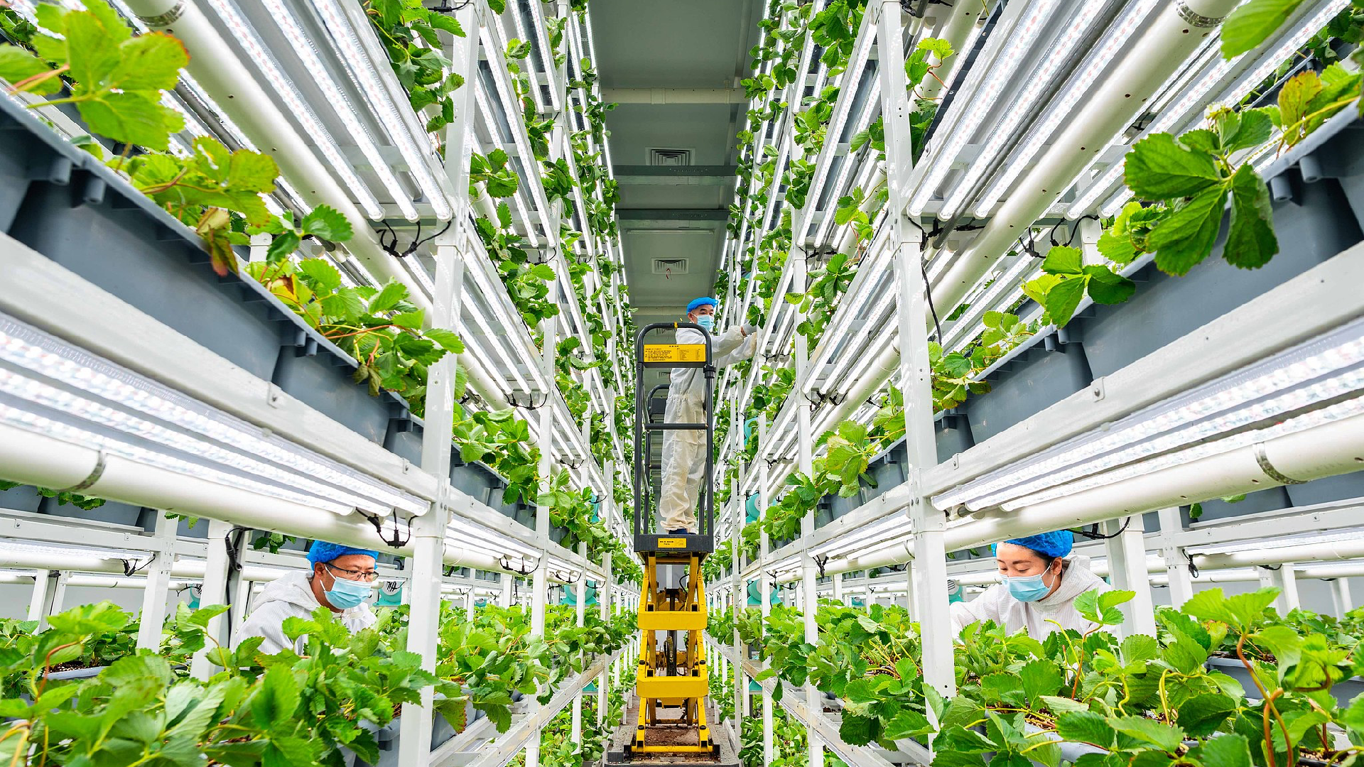 Modernization of agricultural technology drives global development