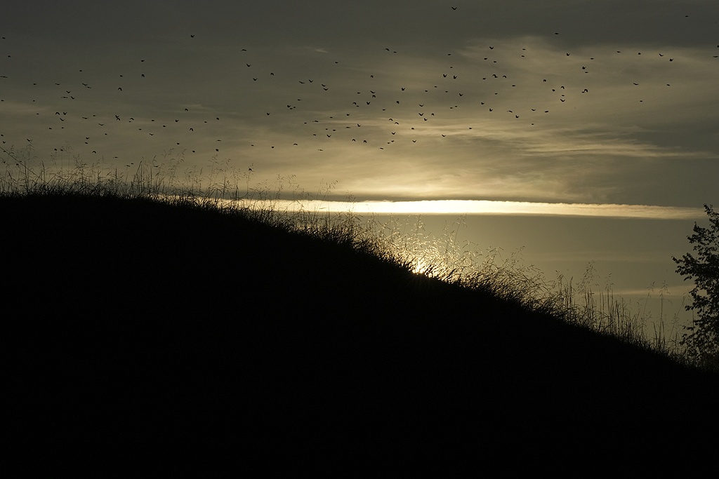 The sun rises over one of the Twin Mounds at Fort Ancient Earthworks, September 19, 2023, in Oregonia, Ohio. Fort Ancient is part of a network of ancient American Indian ceremonial and burial mounds around Ohio that were added to the list of UNESCO World Heritage sites. /VCG