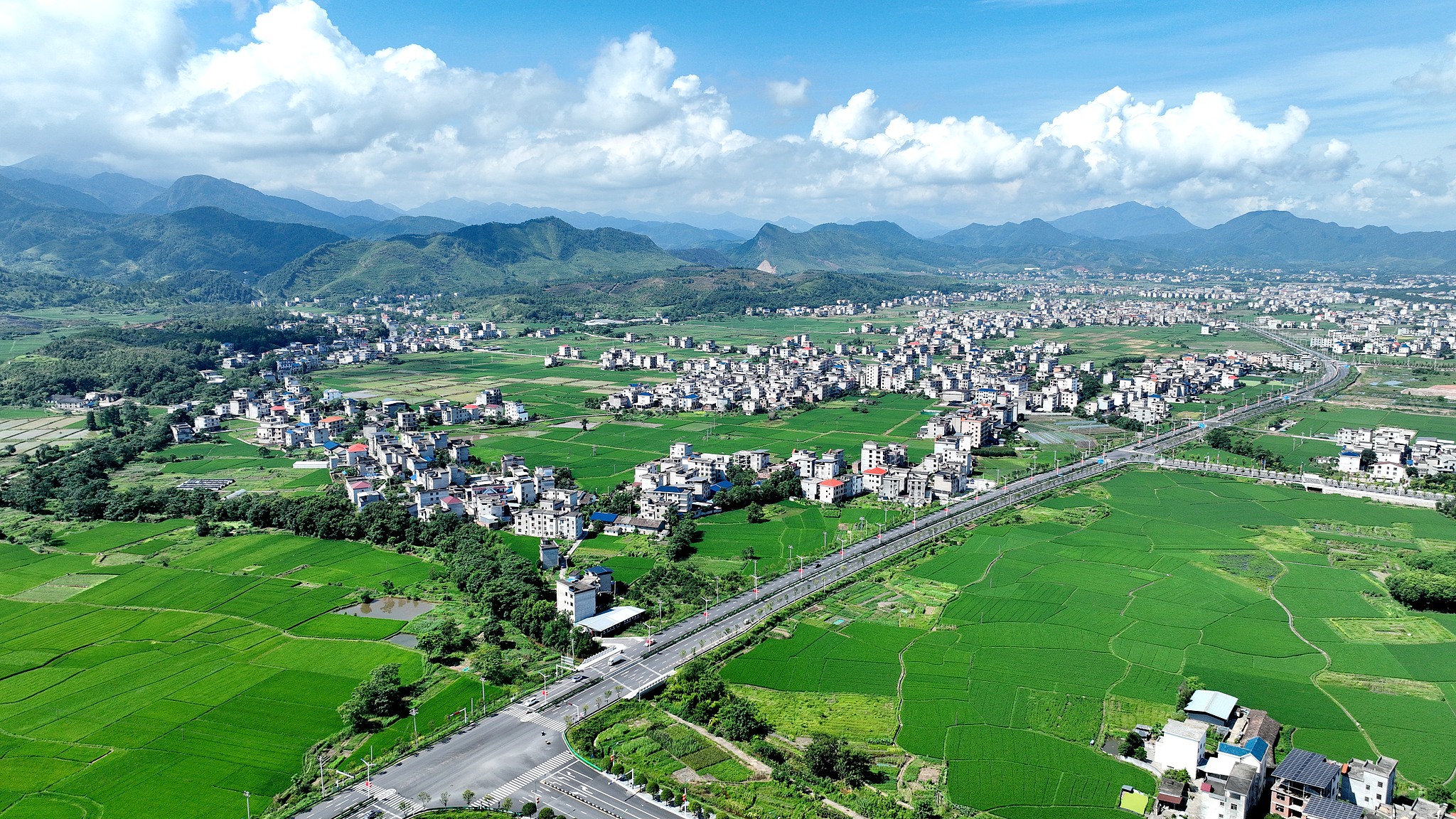 A view of farmlands in Suichuan County, east China's Jiangxi Province, July 24, 2025. /VCG