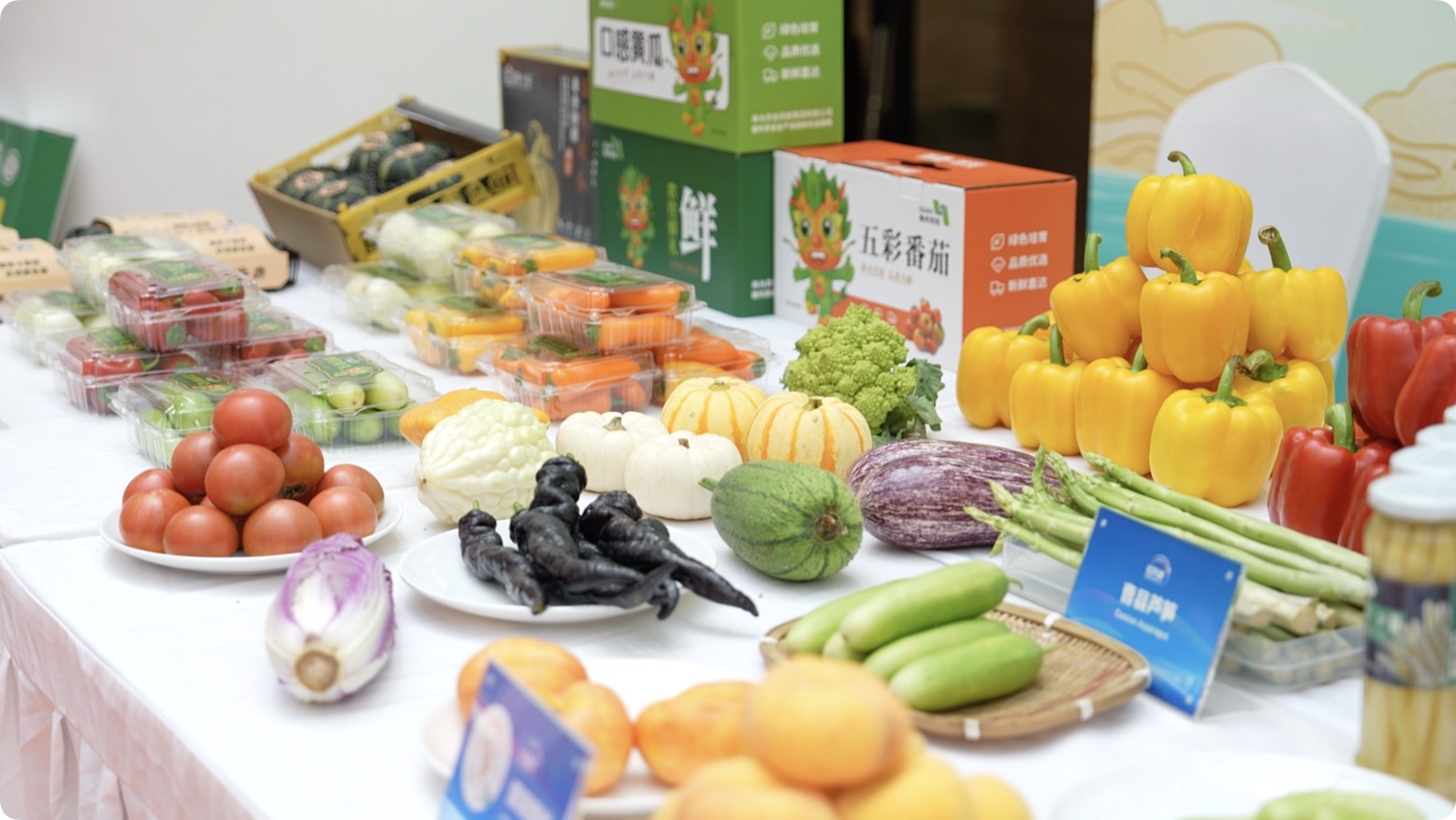 China's 'Spring City' meets 'smart farming': A global showcase