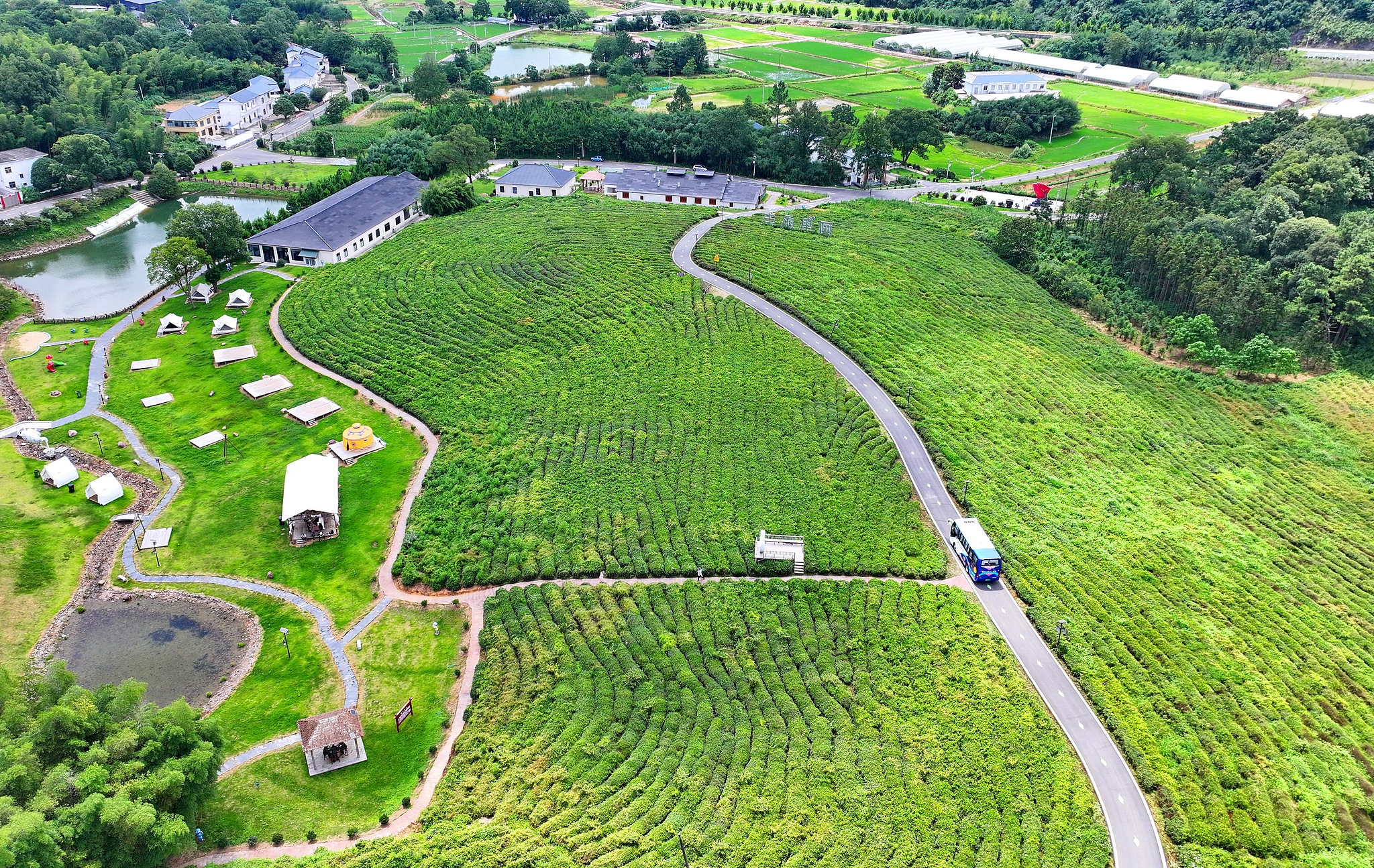 A road connects tea gardens and farmhouses at a rural tourism site in Jiujiang City, Jiangxi Province, China, July 11, 2025. /VCG