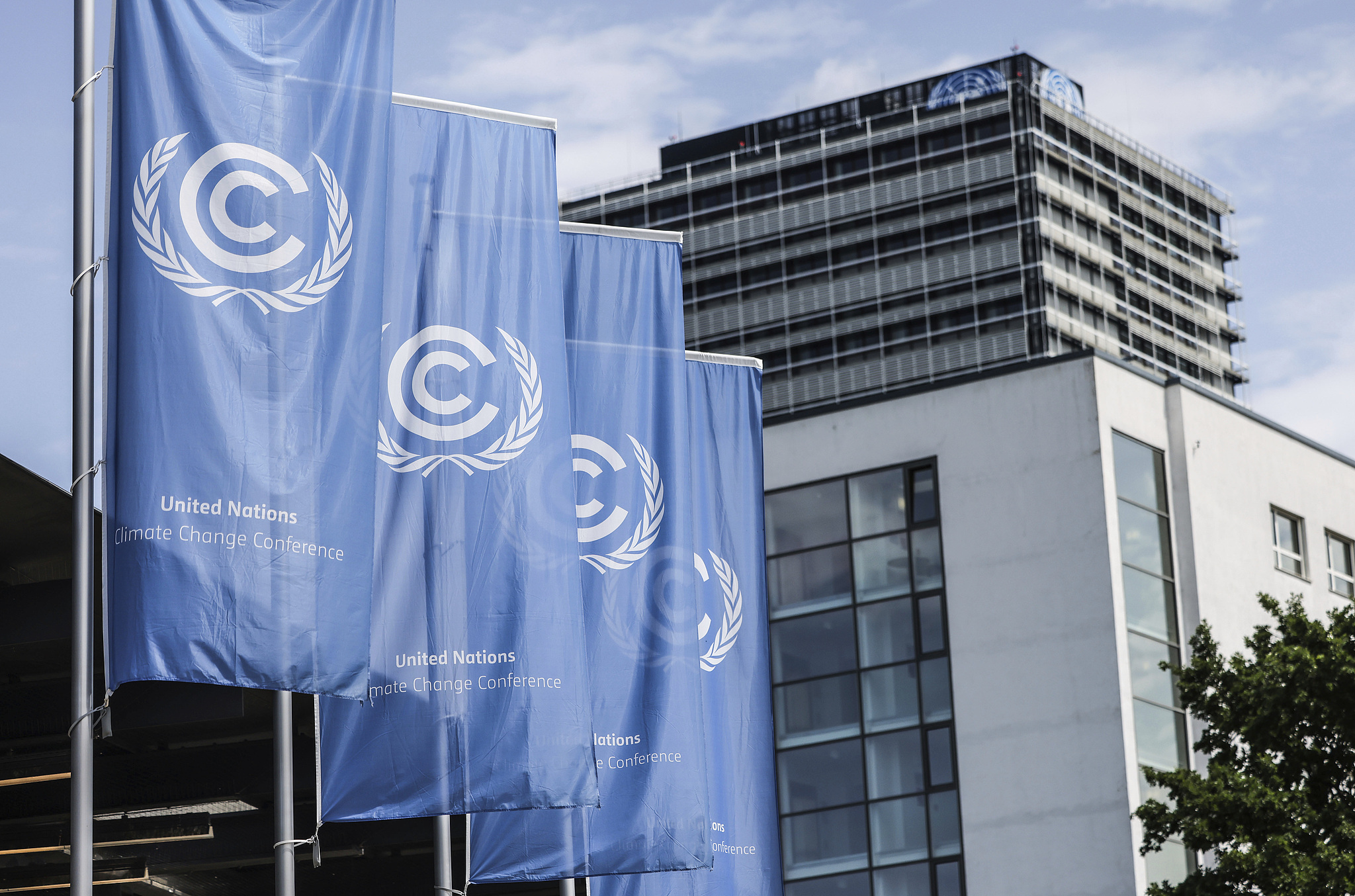 Flags of the United Nations Climate Change Conference in Bonn, North Rhine-Westphalia, Germany, June 25, 2025. /VCG 
