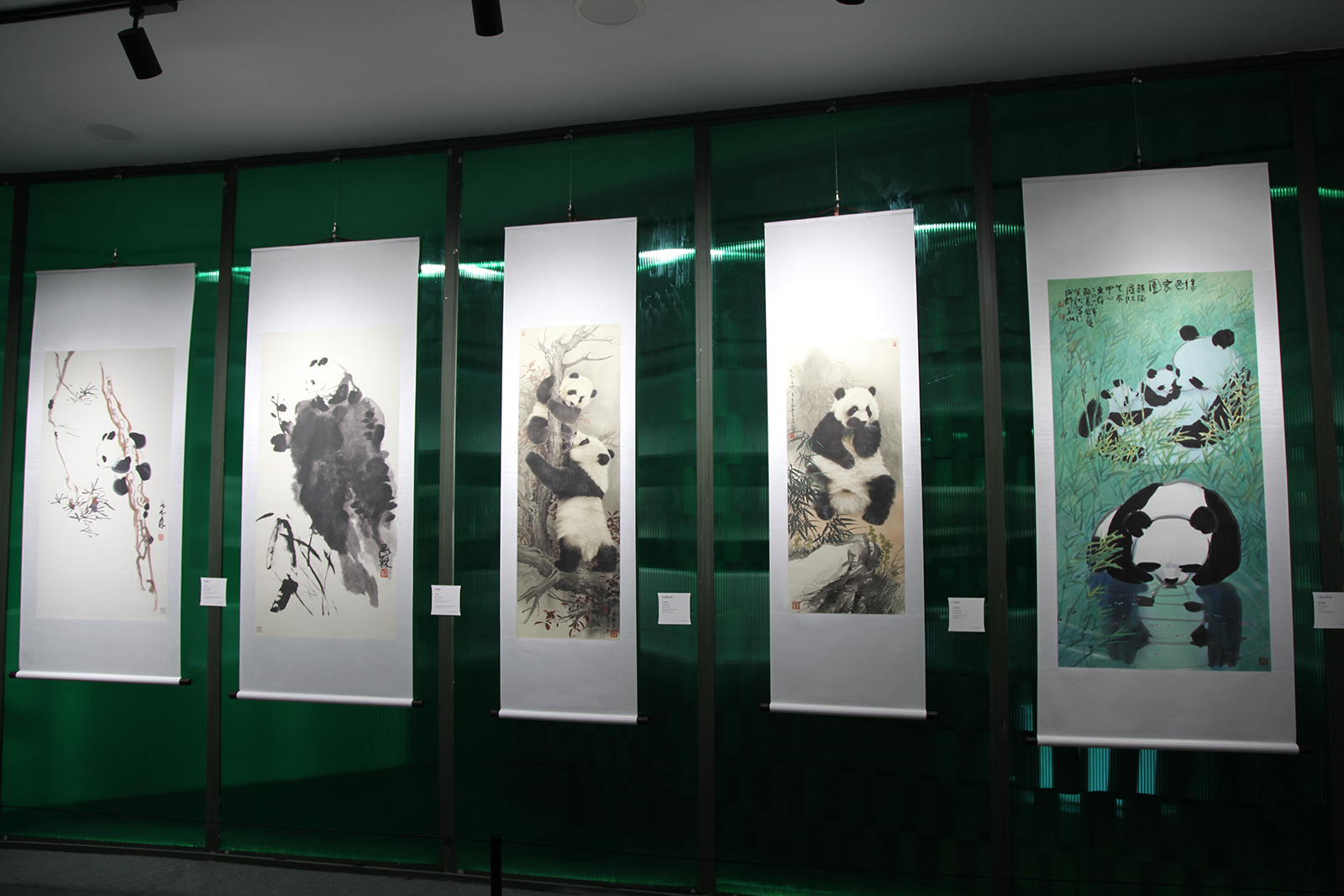 Giant panda-themed paintings are seen on display at the Panda Art Museum at the Chengdu Research Base of Giant Panda Breeding in Sichuan Province. /CGTN