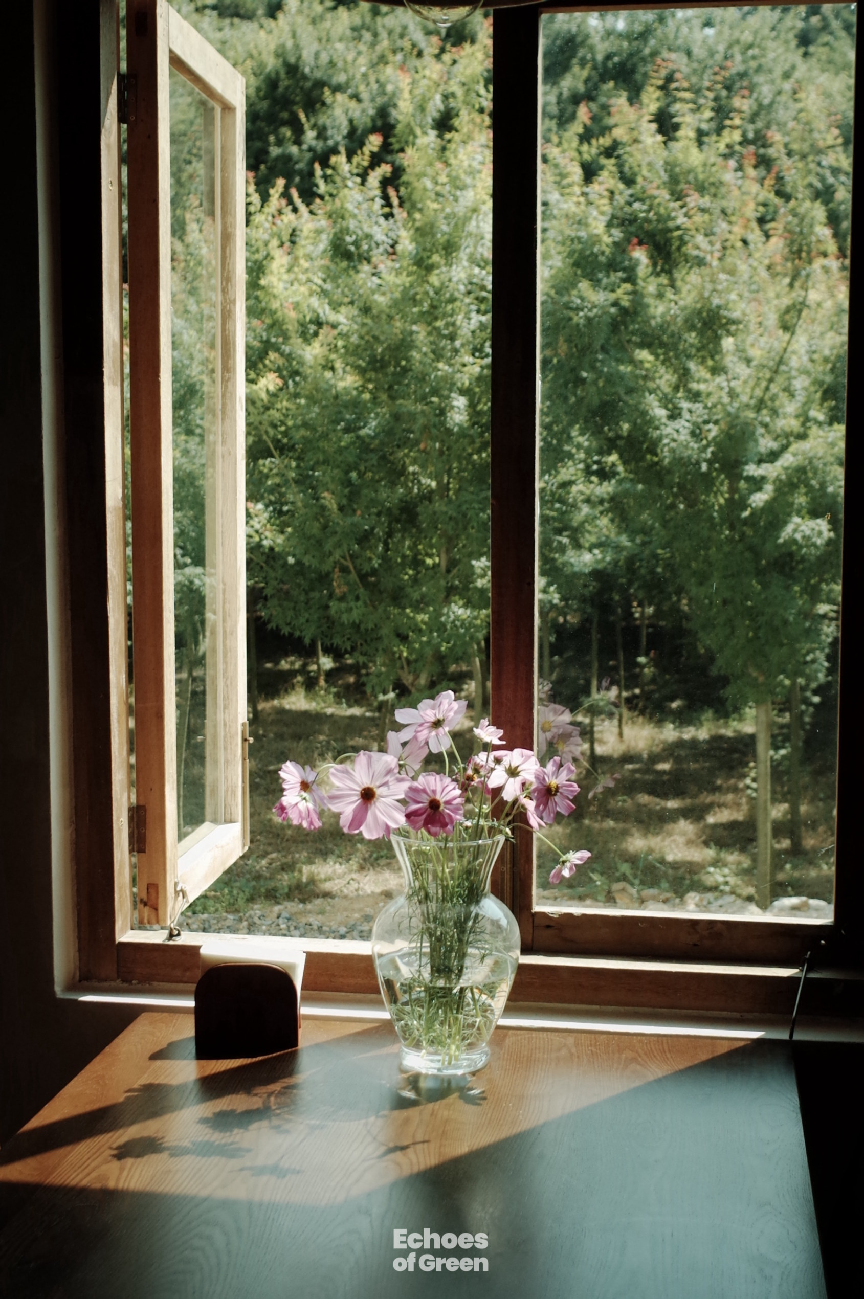 At a renovated village home in Anji, Zhejiang Province, young residents embrace a lifestyle rooted in nature and sustainability. /CGTN