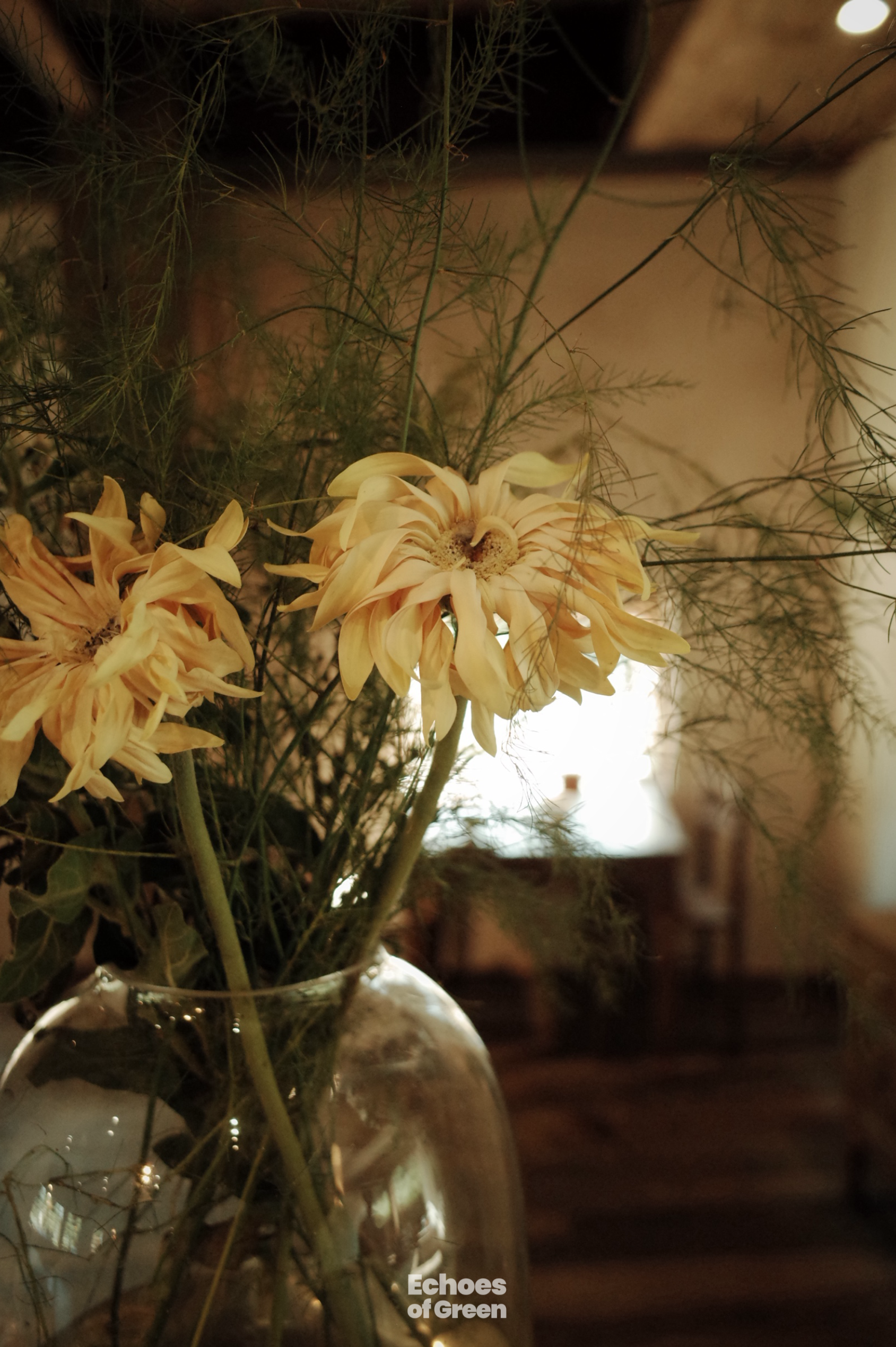 At a renovated village home in Anji, Zhejiang Province, young residents embrace a lifestyle rooted in nature and sustainability. /CGTN