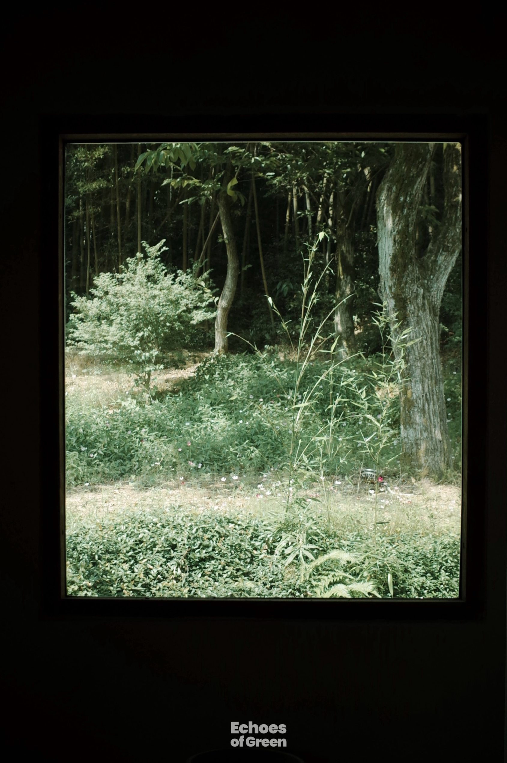 At a renovated village home in Anji, Zhejiang Province, young residents embrace a lifestyle rooted in nature and sustainability. /CGTN