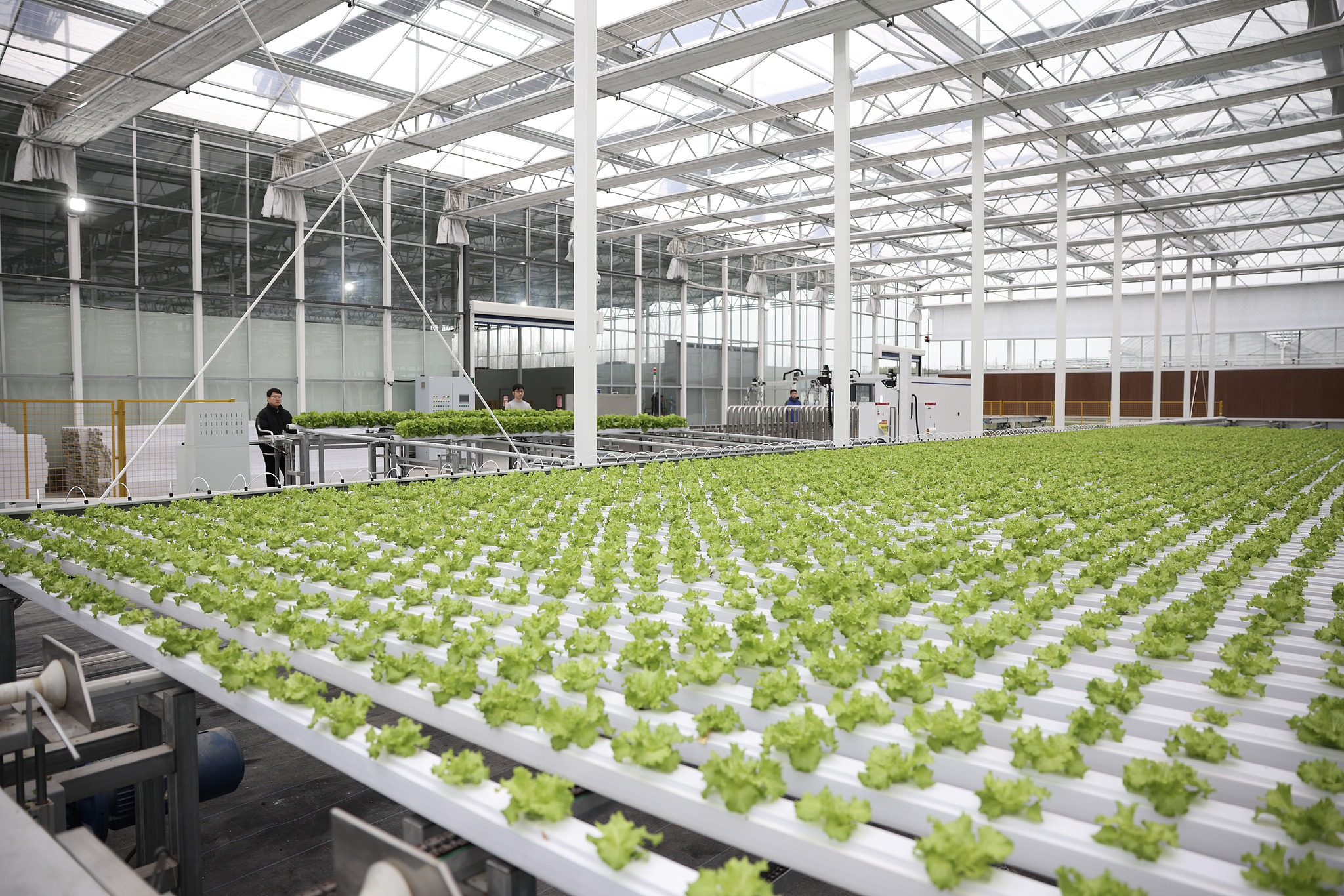 From made to smartly made: The Pinghu shift