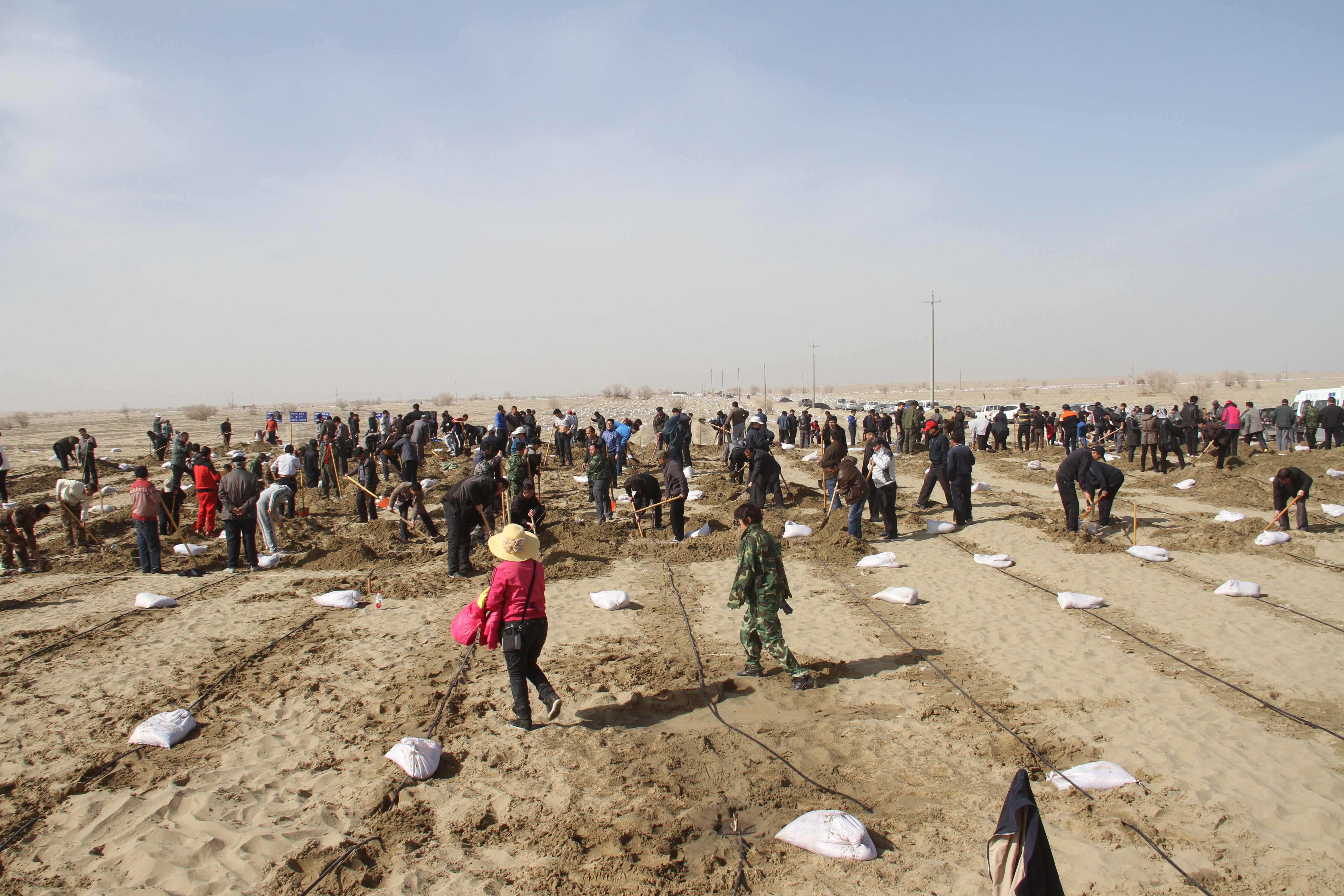 Residents of Makit County join a mass tree-planting drive to build a green barrier against desertification. /Makit County Publicity Department