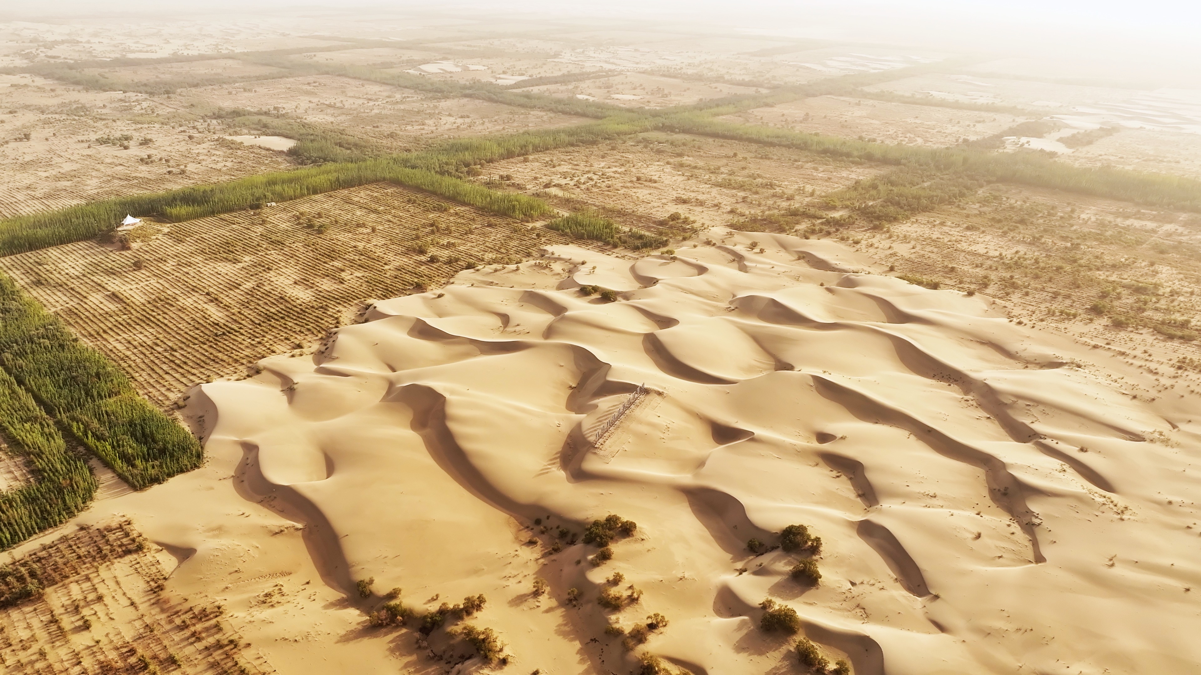 Makit County's shelterbelt forests carve out a bold green frontier. /CGTN