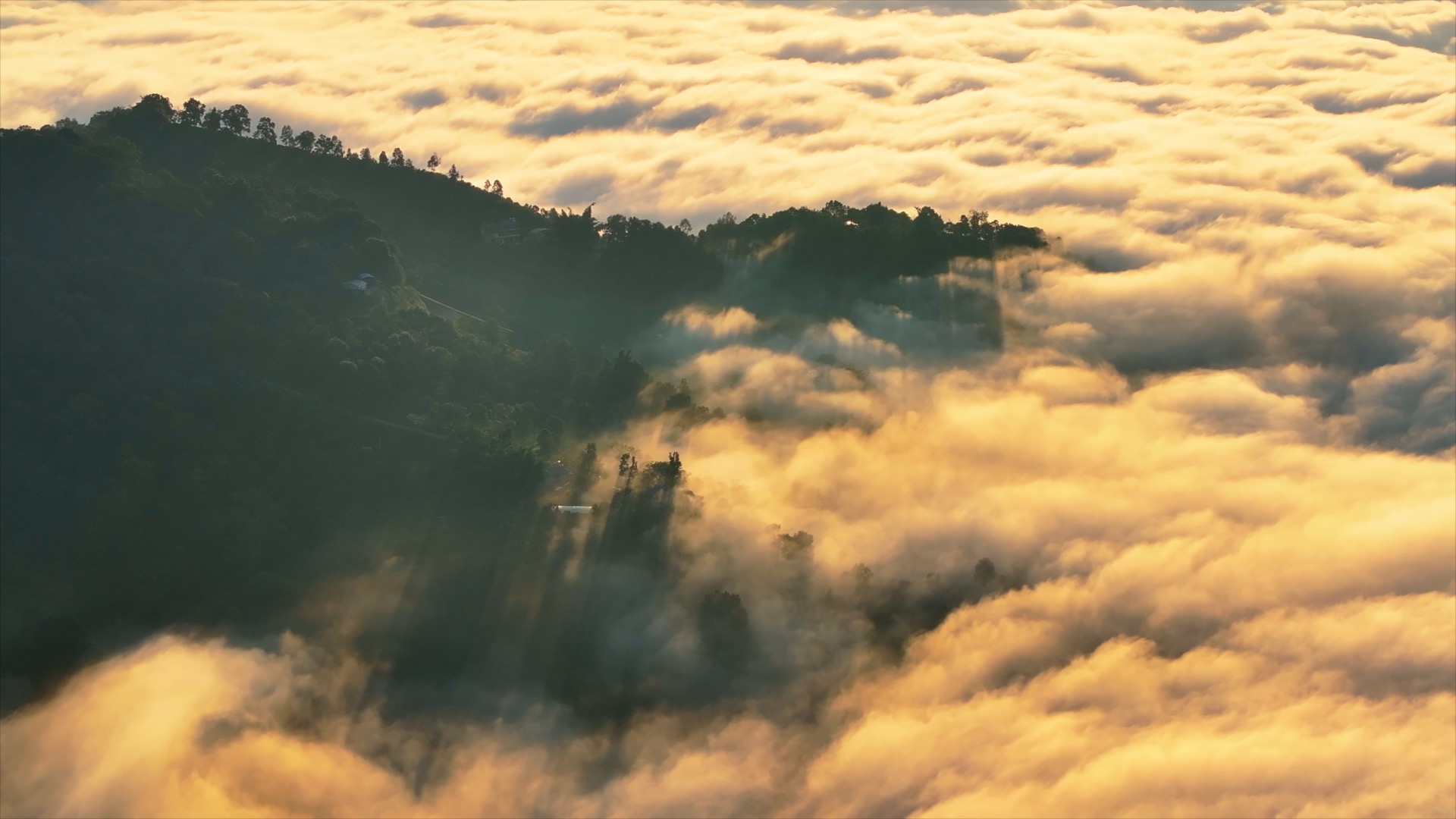 Jingmai Mountain rises above a sea of clouds, Pu'er City, southwest China's Yunnan Province. /CGTN