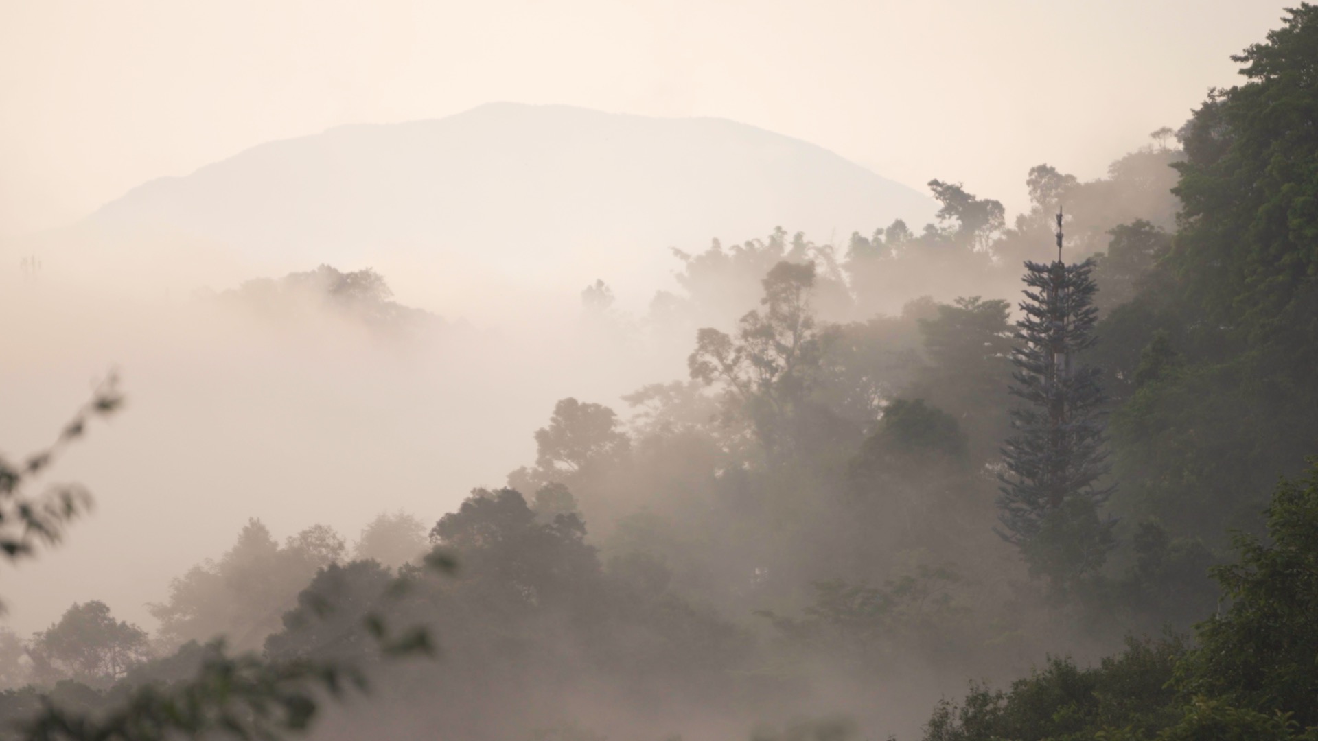 Jingmai Mountain stands shrouded in thick fog, Pu'er City, southwest China's Yunnan Province. /CGTN
