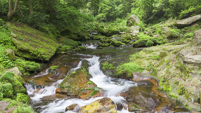 Live: Discover Qianjiangyuan National Park