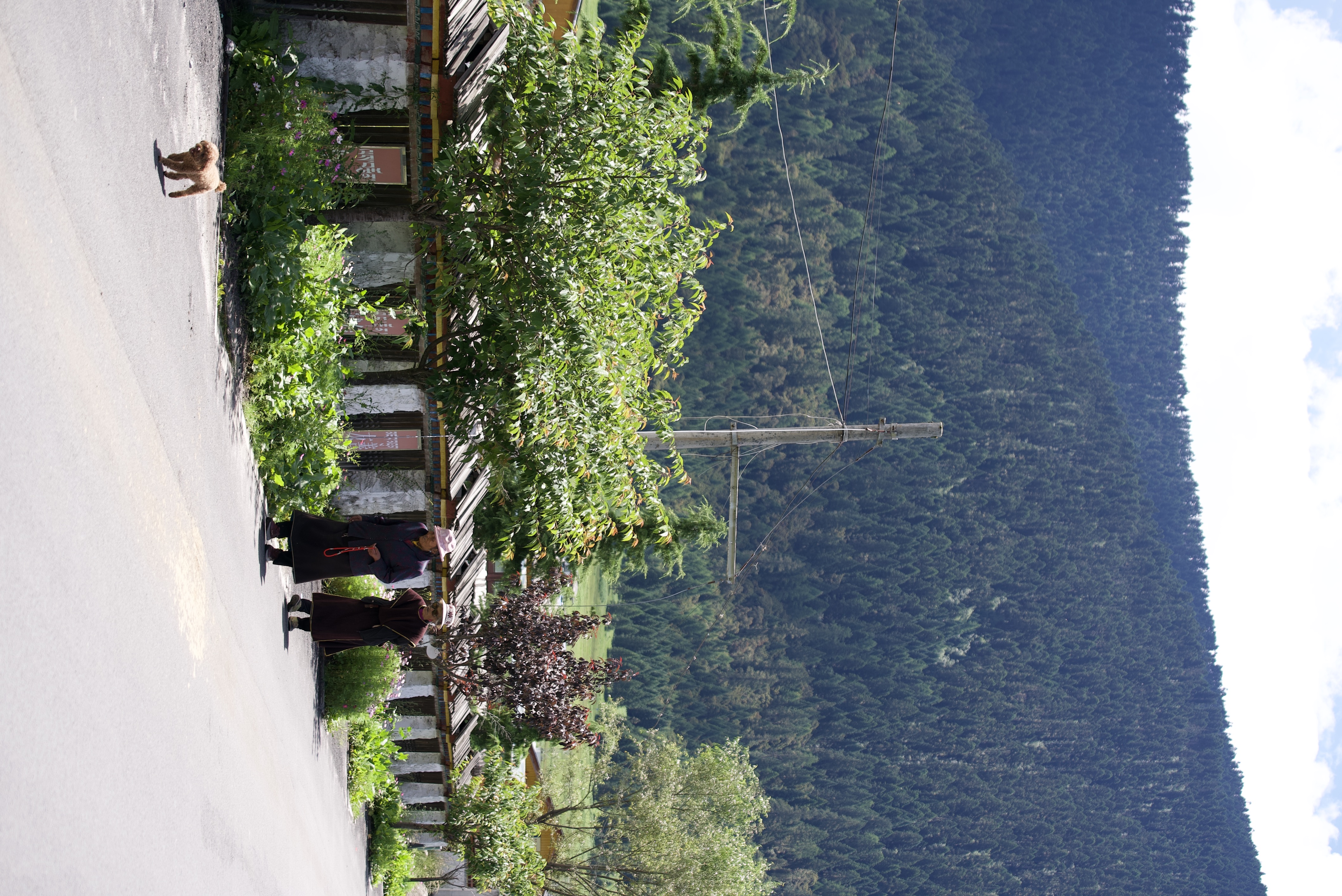 Zhaxigang: From impoverished mountain village to thriving tourism spot