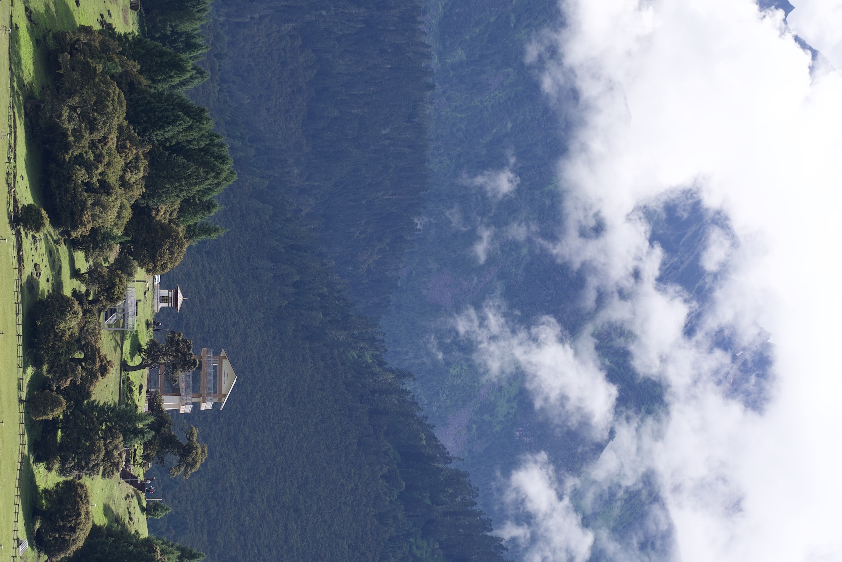 Zhaxigang: From impoverished mountain village to thriving tourism spot