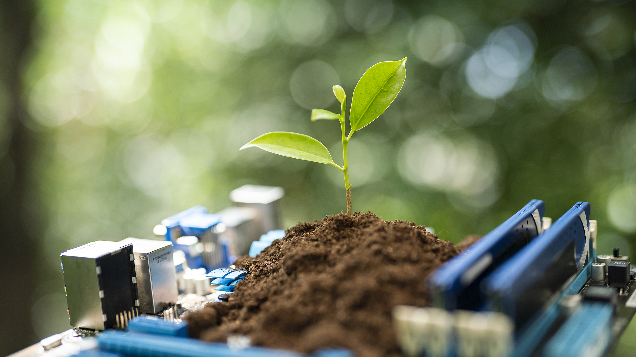 Chinese team develops bio-recyclable material for green electronics
